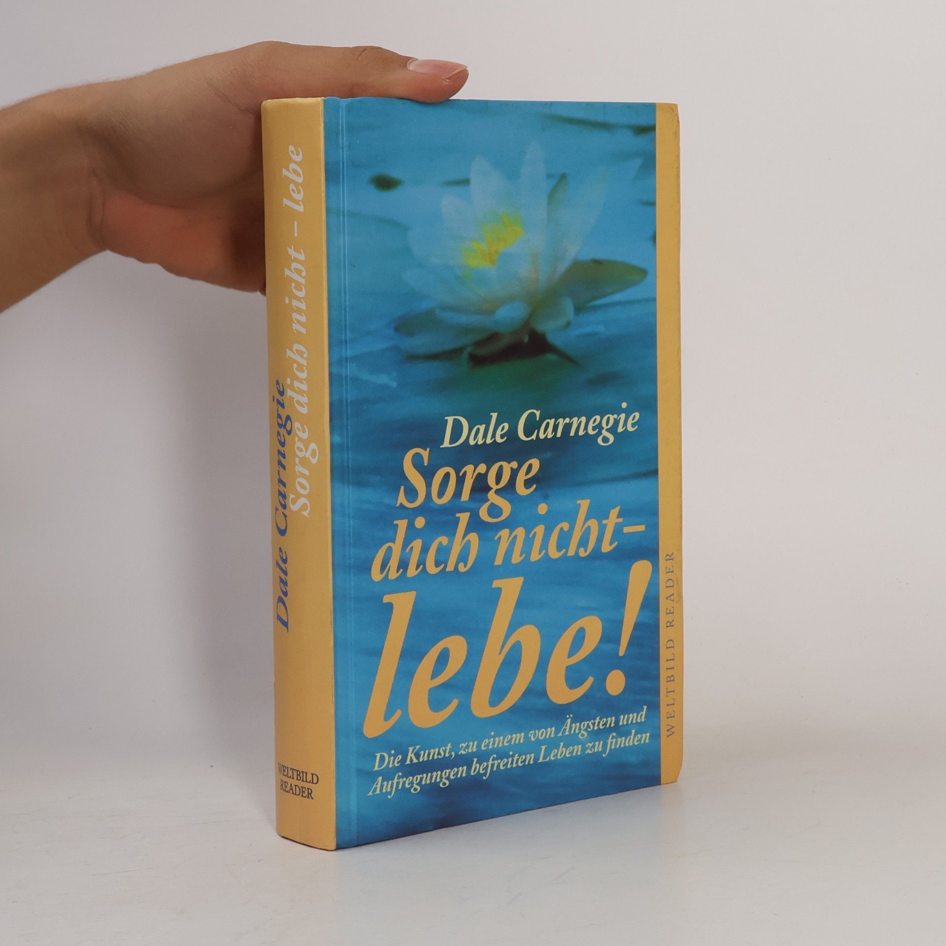 Dale Carnegie Sorge dich nicht - lebe!