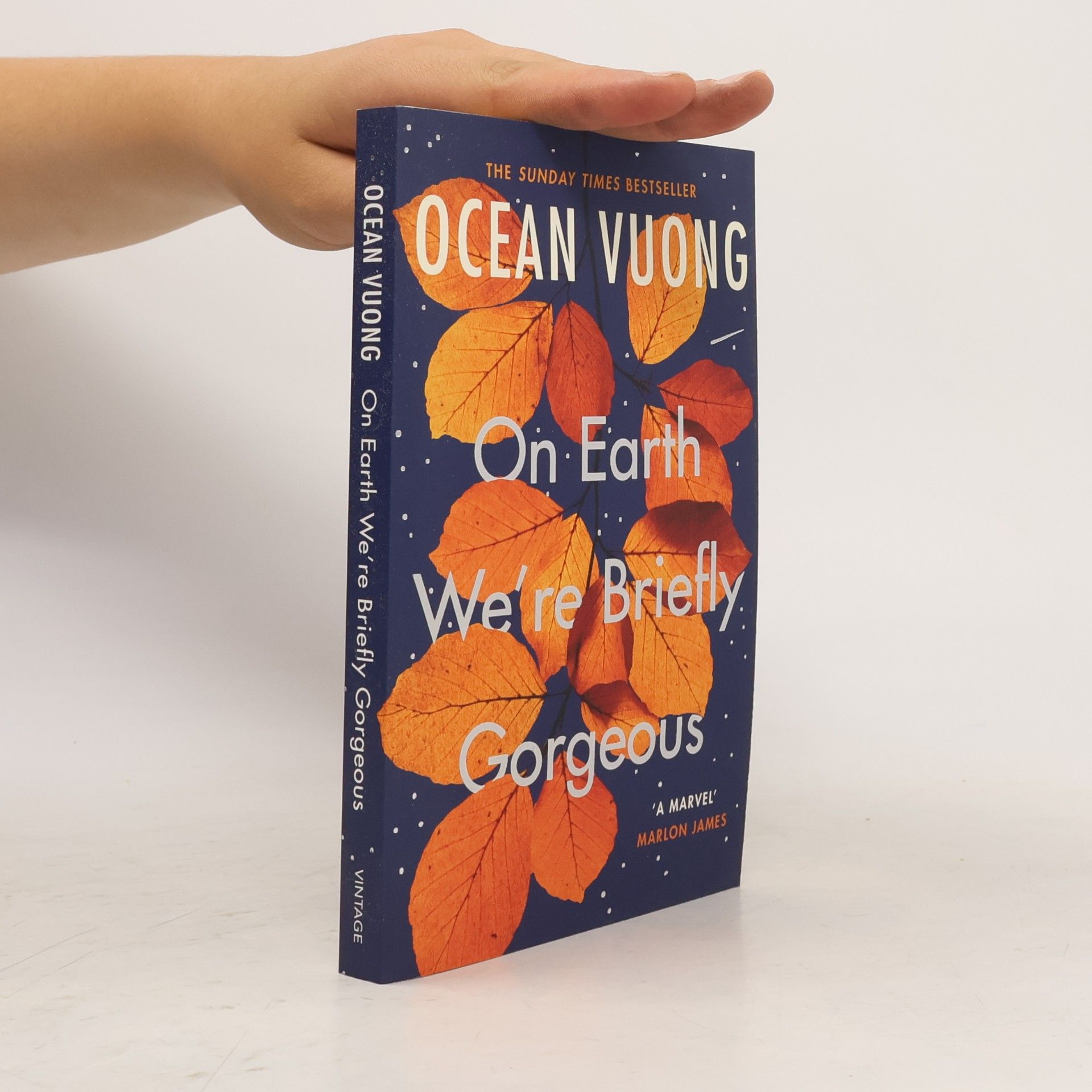 Ocean Vuong On Earth We're Briefly Gorgeous