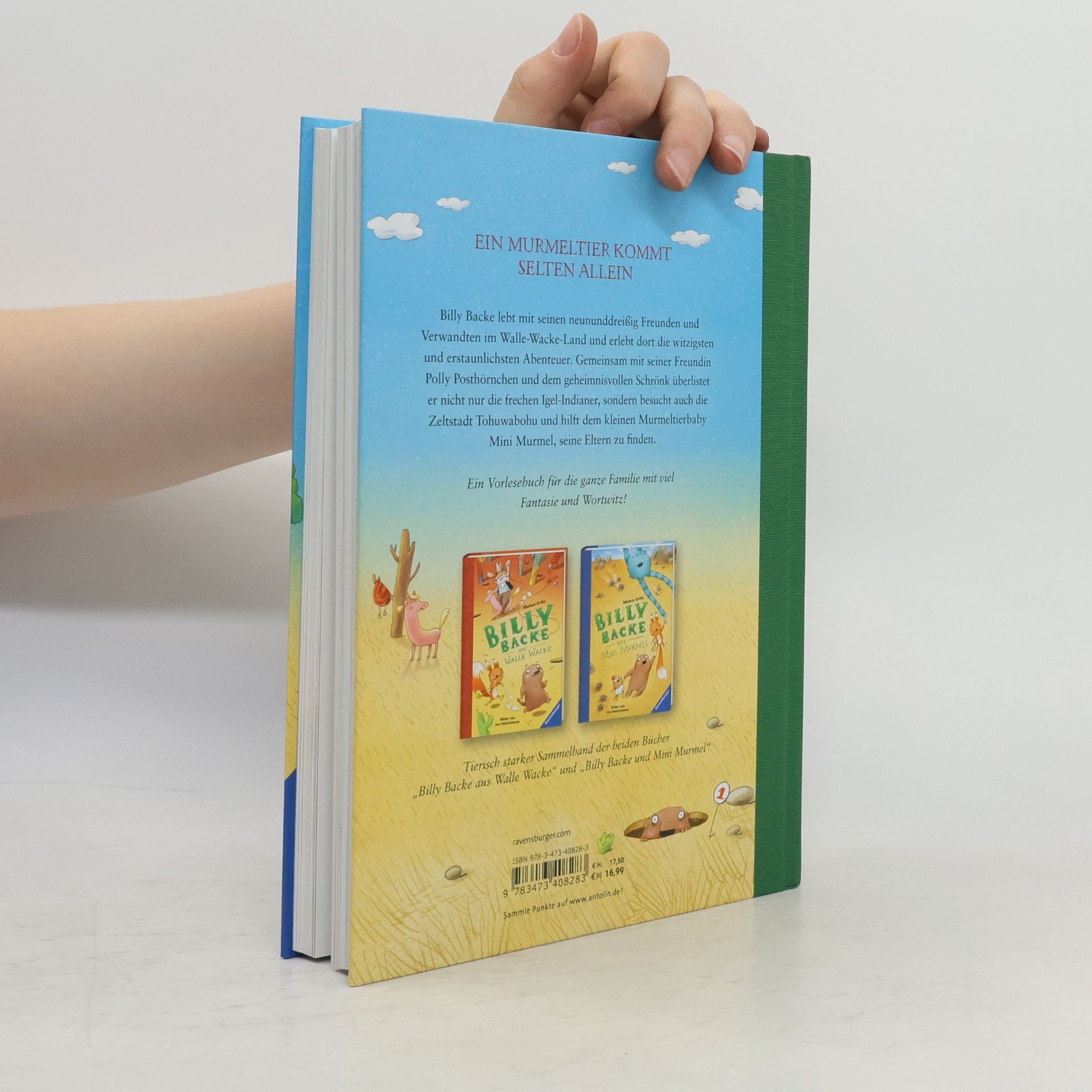 Markus Orths Das große Buch von Billy Backe