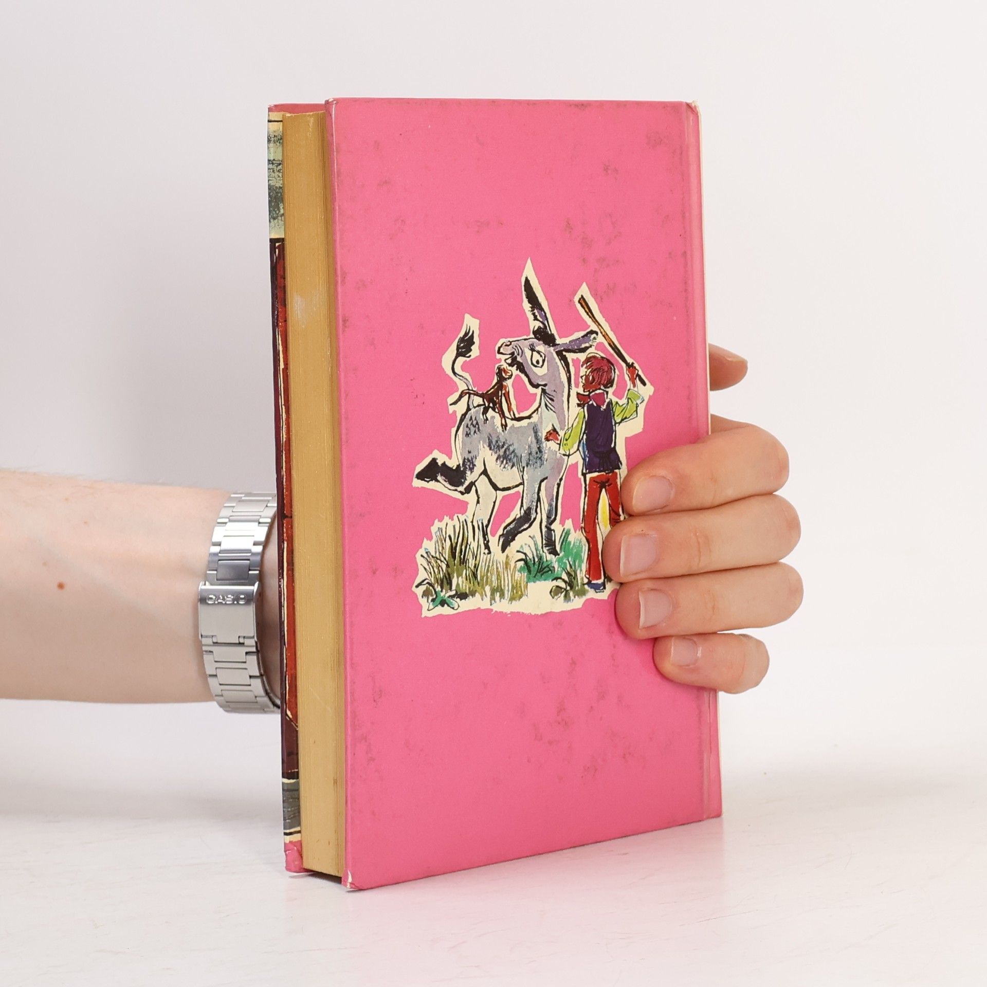 Enid Blyton 5 Freunde und der Zauberer Wu