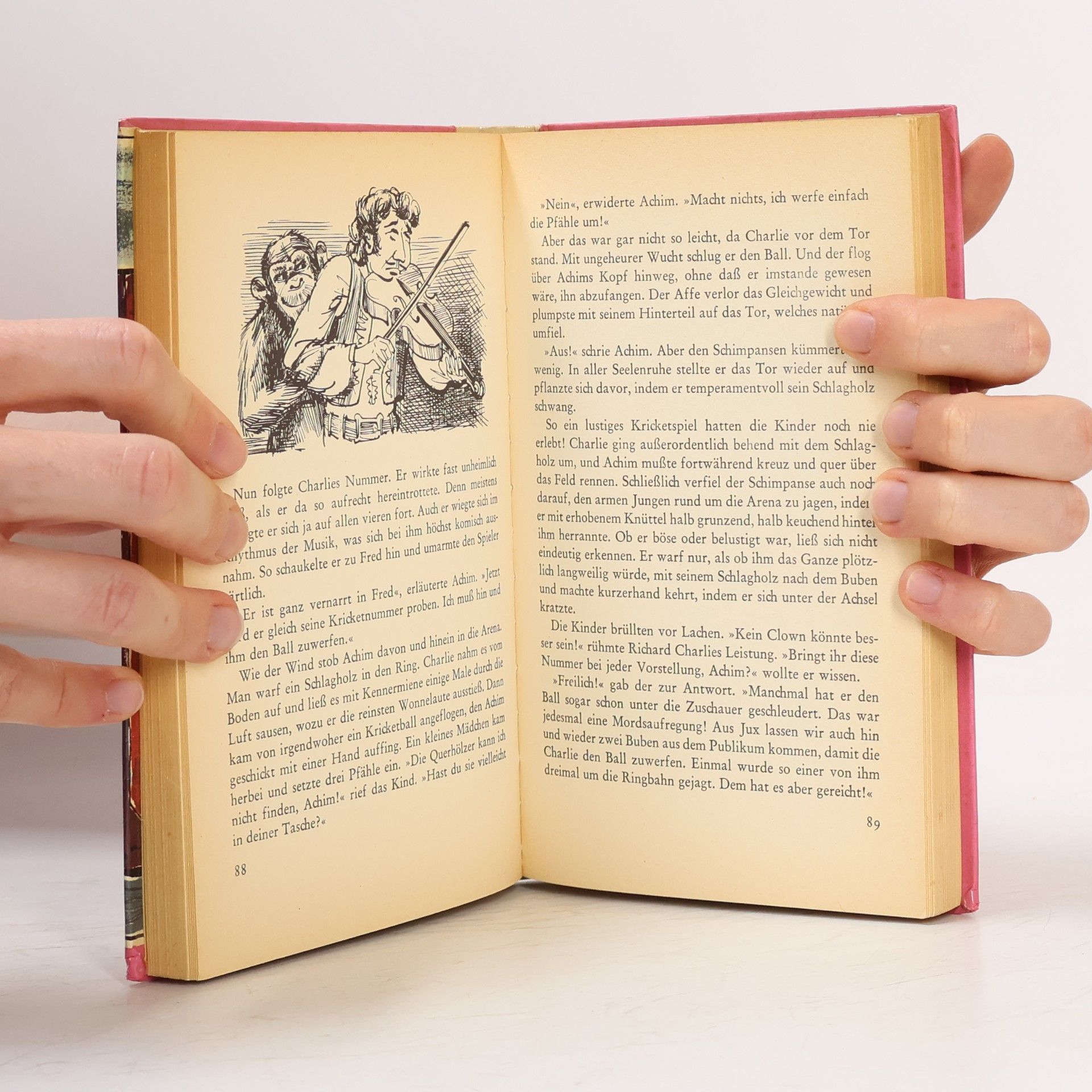Enid Blyton 5 Freunde und der Zauberer Wu