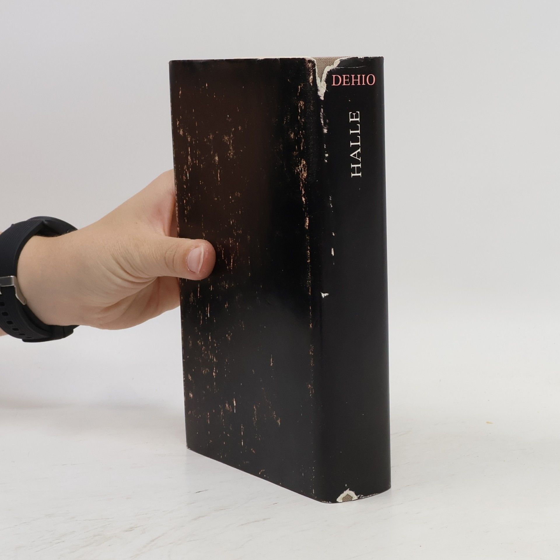 Georg Dehio Handbuch der deutschen Kunstdenkmäler. Der Bezirk Magdeburg