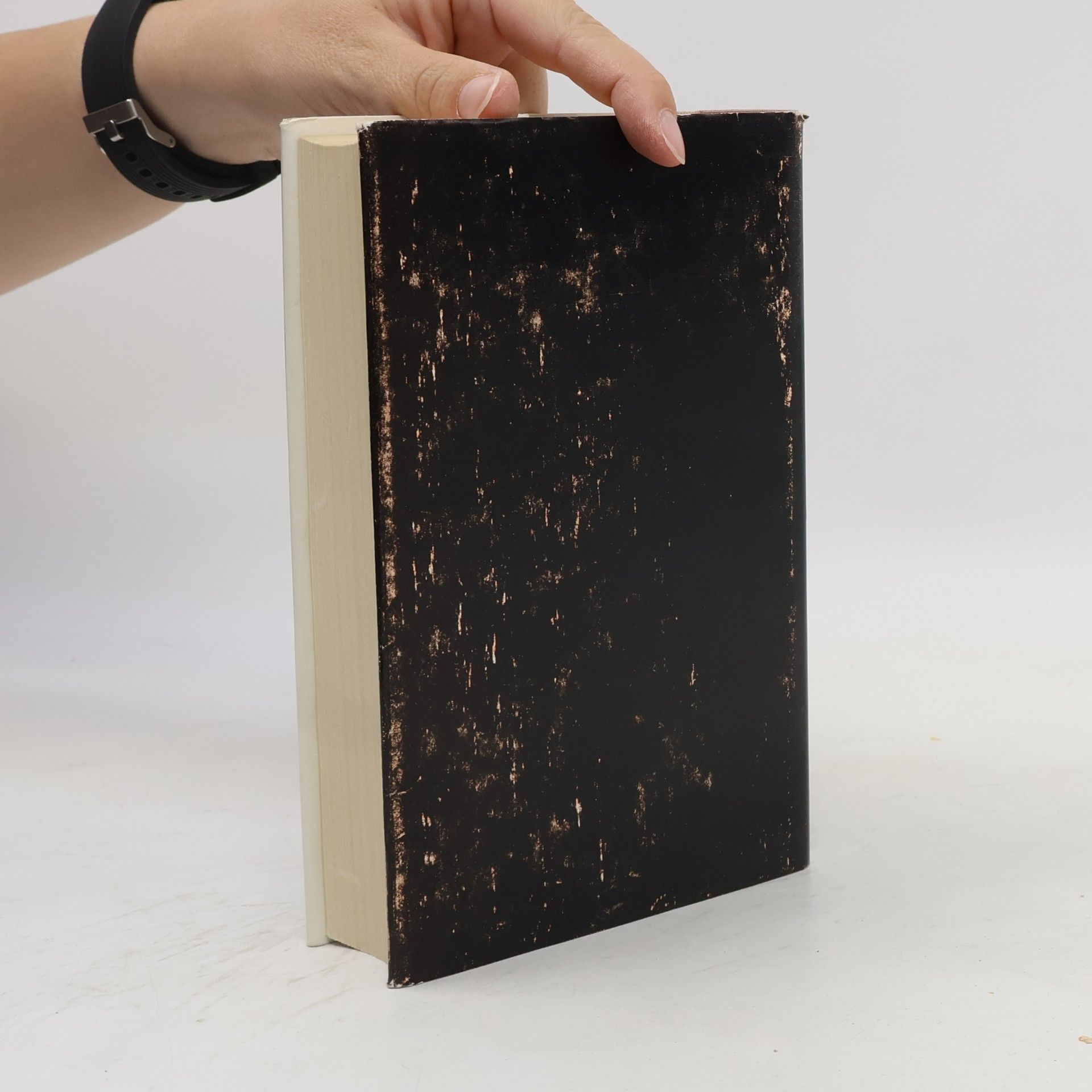 Georg Dehio Handbuch der deutschen Kunstdenkmäler. Der Bezirk Magdeburg