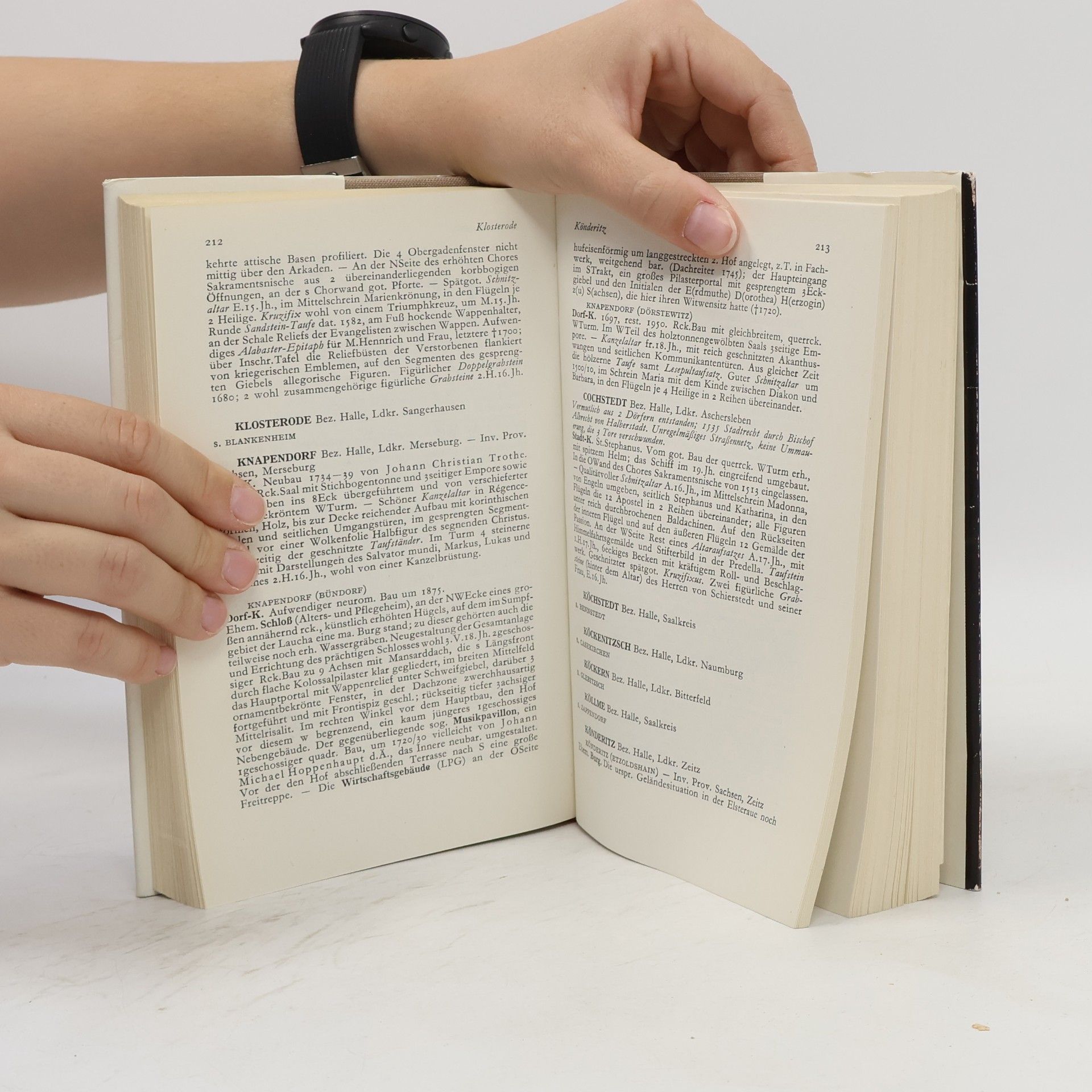 Georg Dehio Handbuch der deutschen Kunstdenkmäler. Der Bezirk Magdeburg