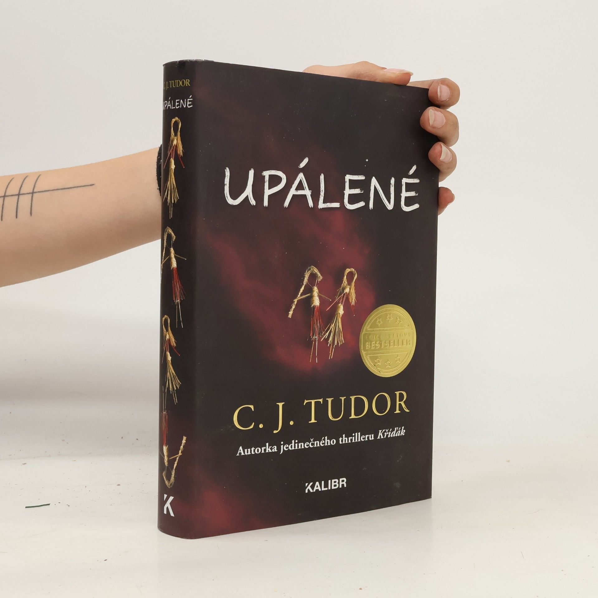 C. J. Tudor Upálené