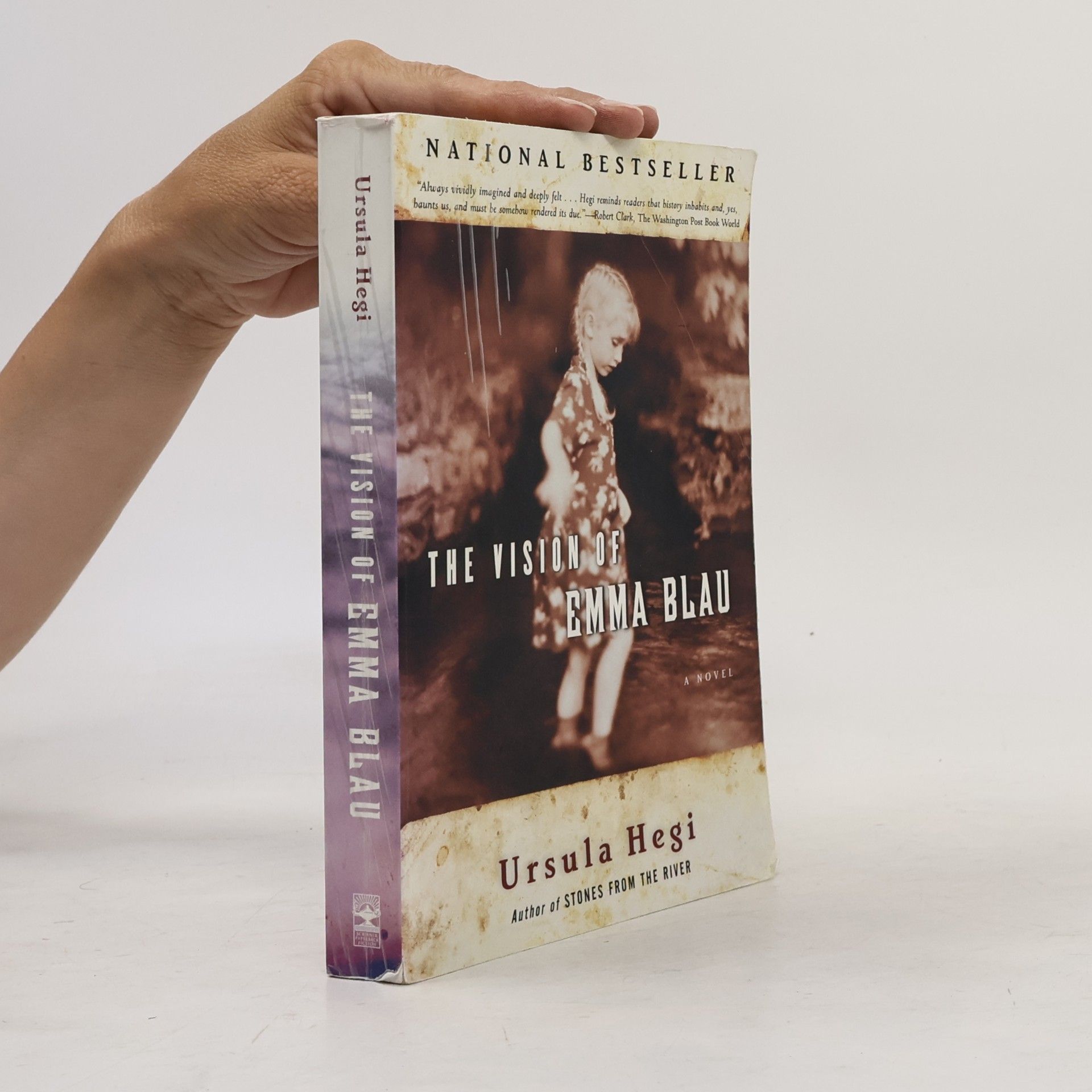 Ursula Hegi The Vision of Emma Blau