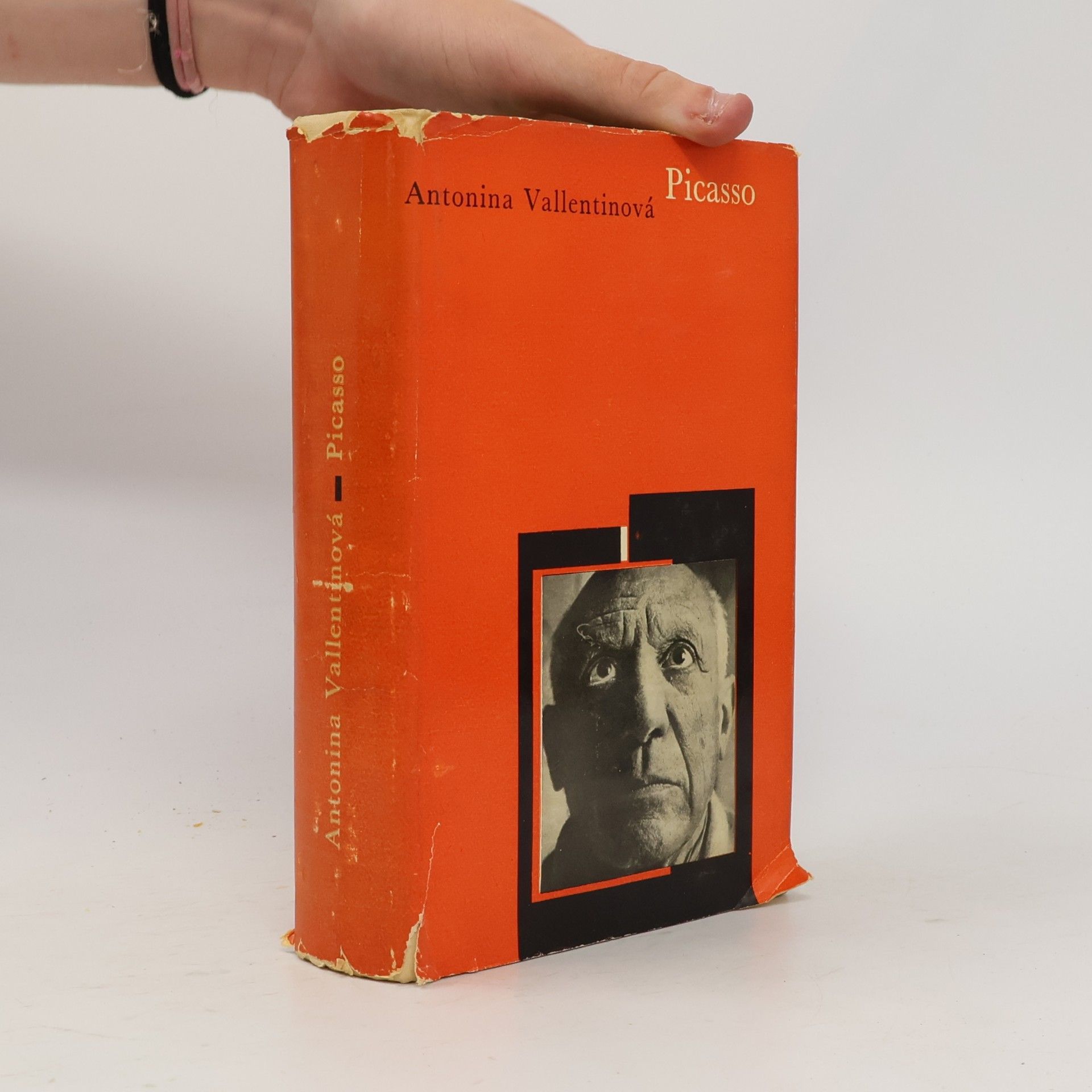 Antonina Vallentin Picasso