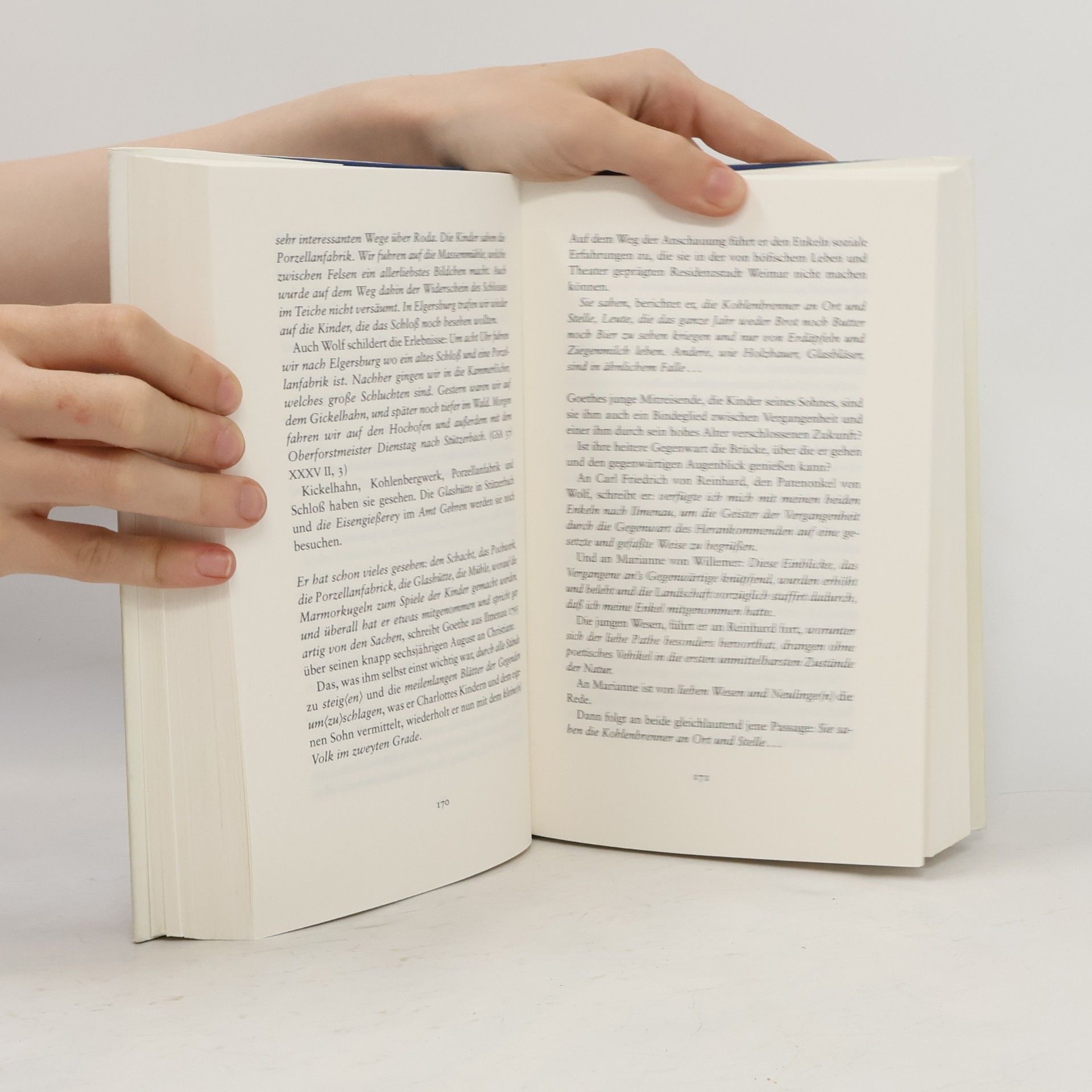 Sigrid Damm Goethes letzte Reise