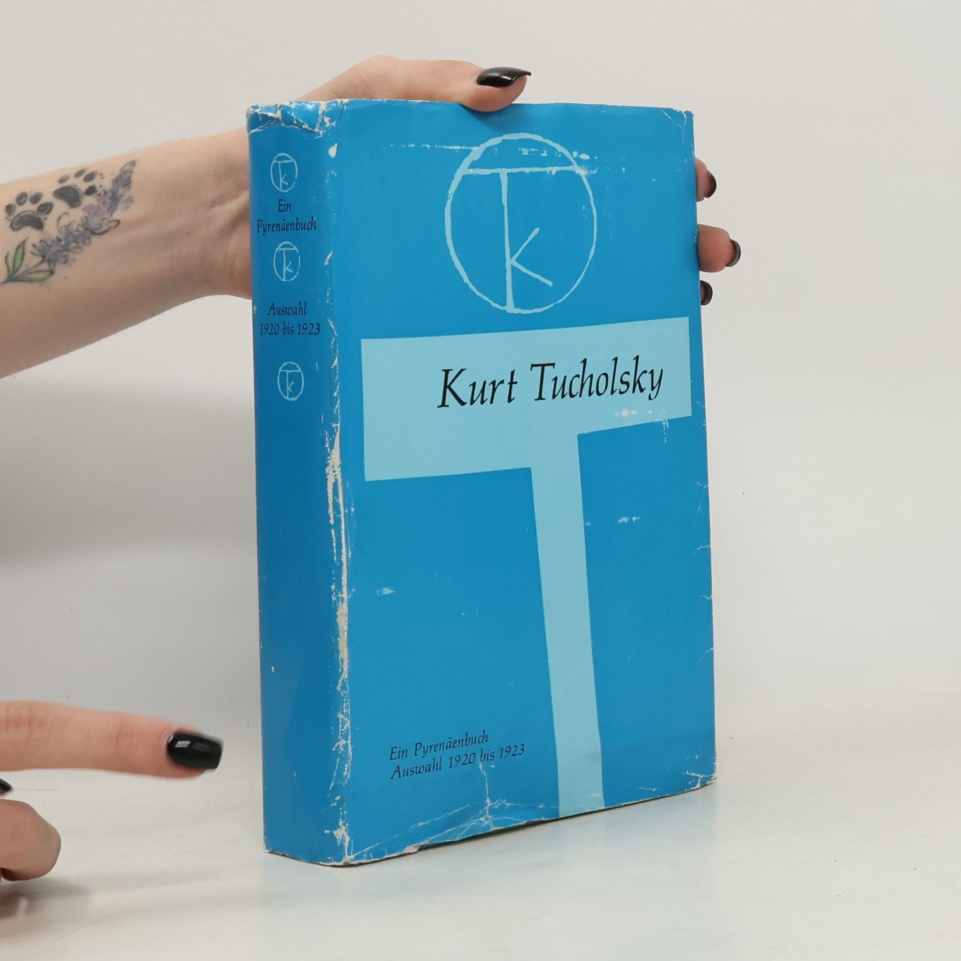Kurt Tucholsky Ein Pyrenäenbuch. Auswahl 1920 bis 1923