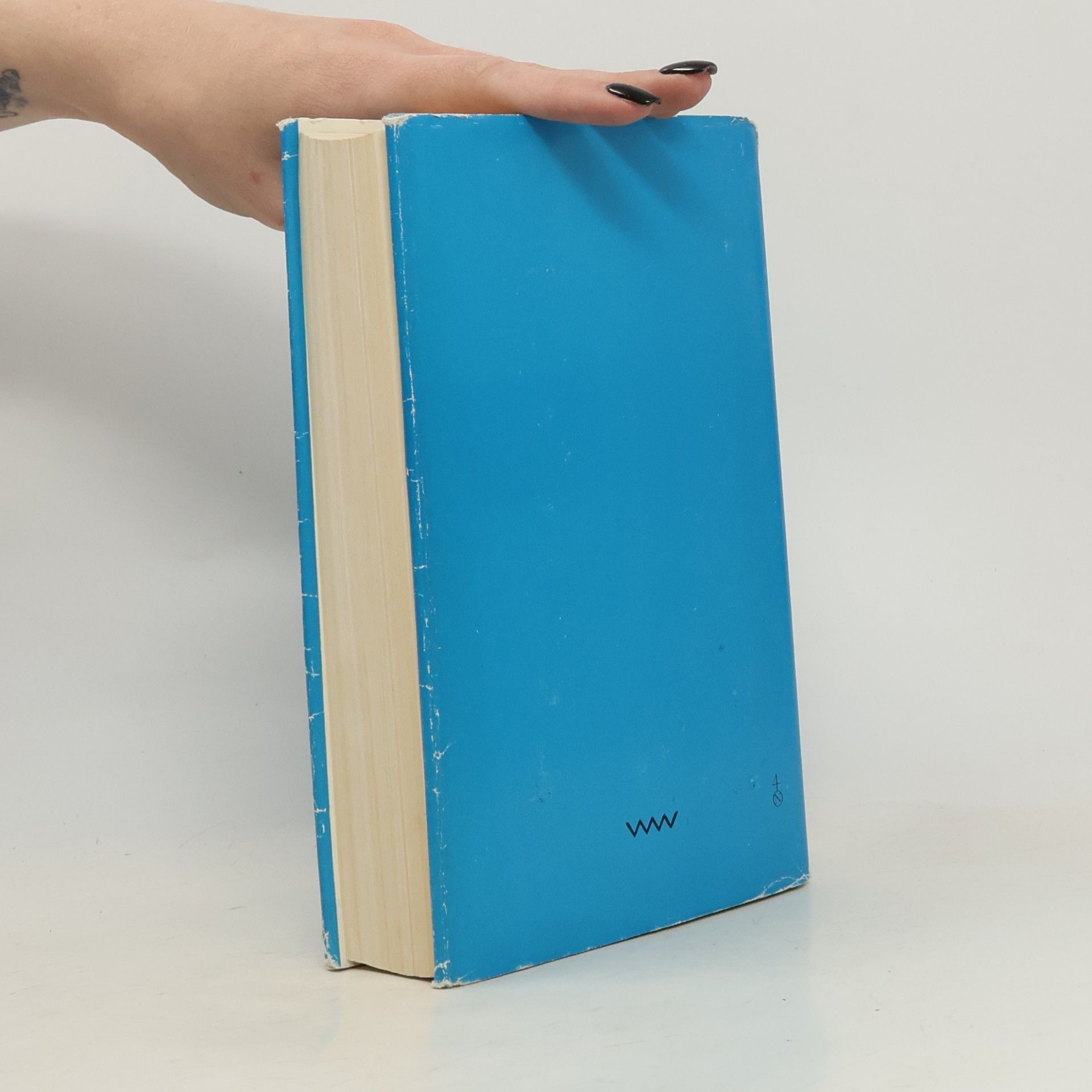 Kurt Tucholsky Ein Pyrenäenbuch. Auswahl 1920 bis 1923