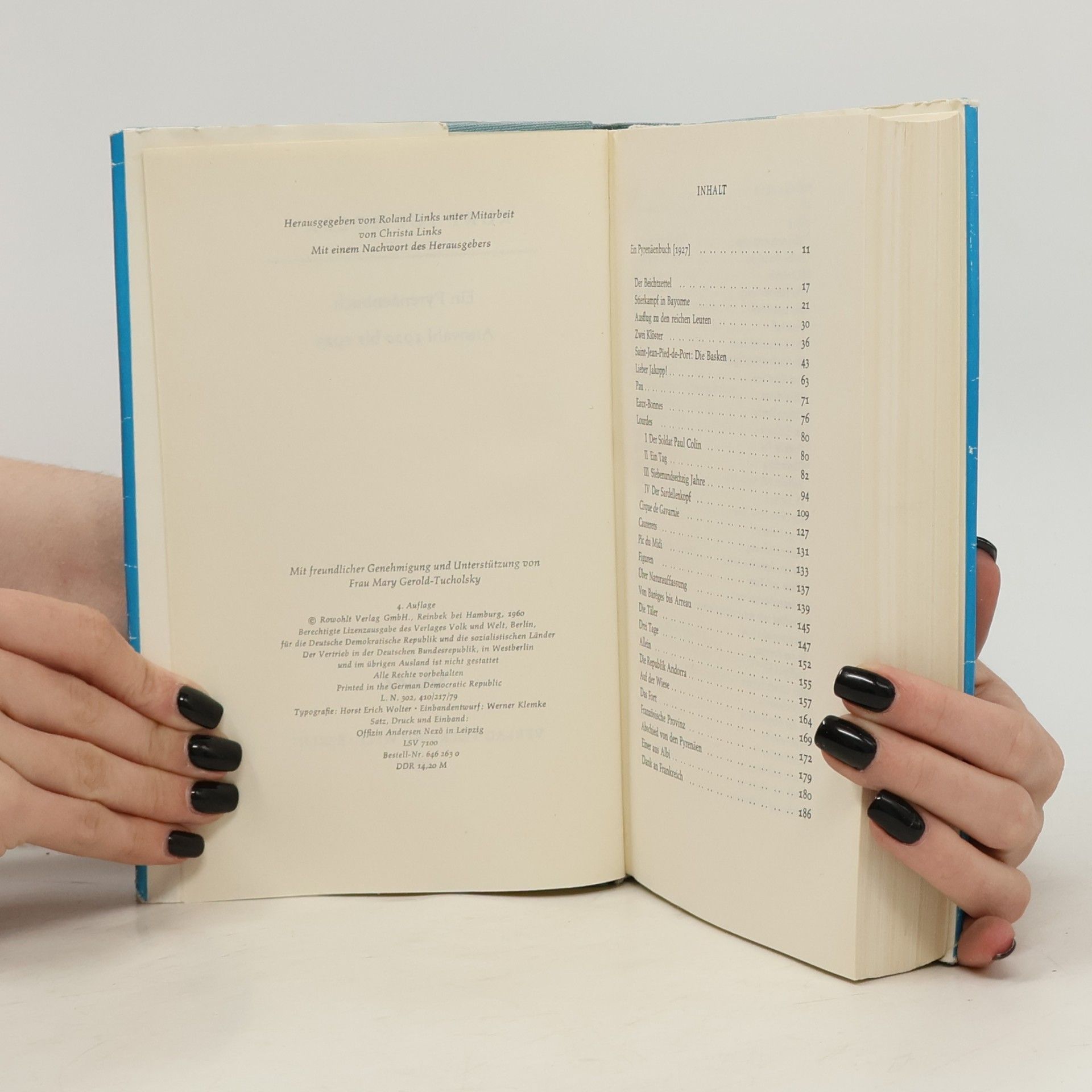 Kurt Tucholsky Ein Pyrenäenbuch. Auswahl 1920 bis 1923