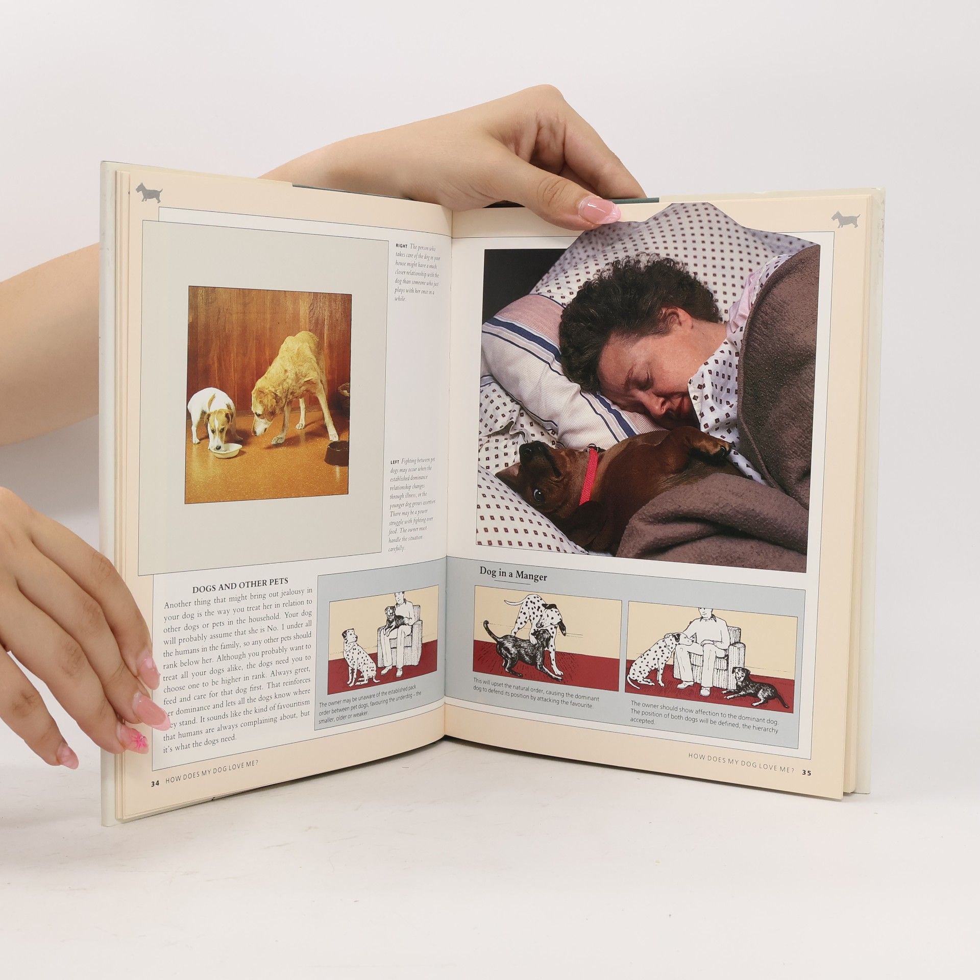 Marcus Schneck The Dog Owner's Handbook
