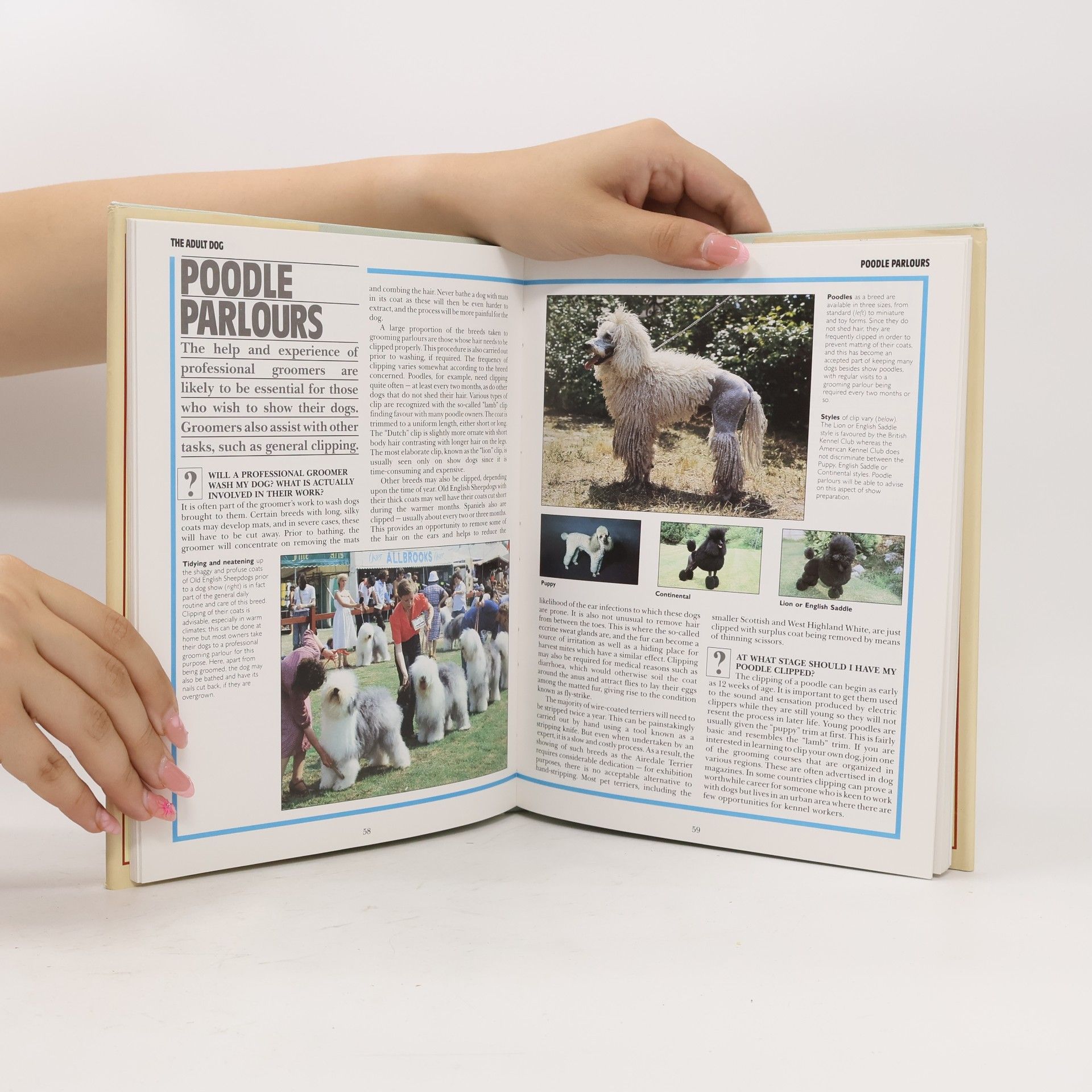 David Alderton The Dog Care Manual