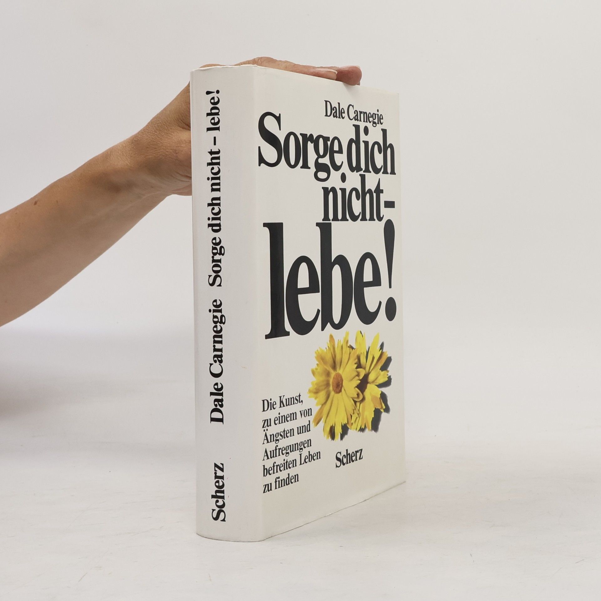 Dale Carnegie Sorge dich nicht - lebe!