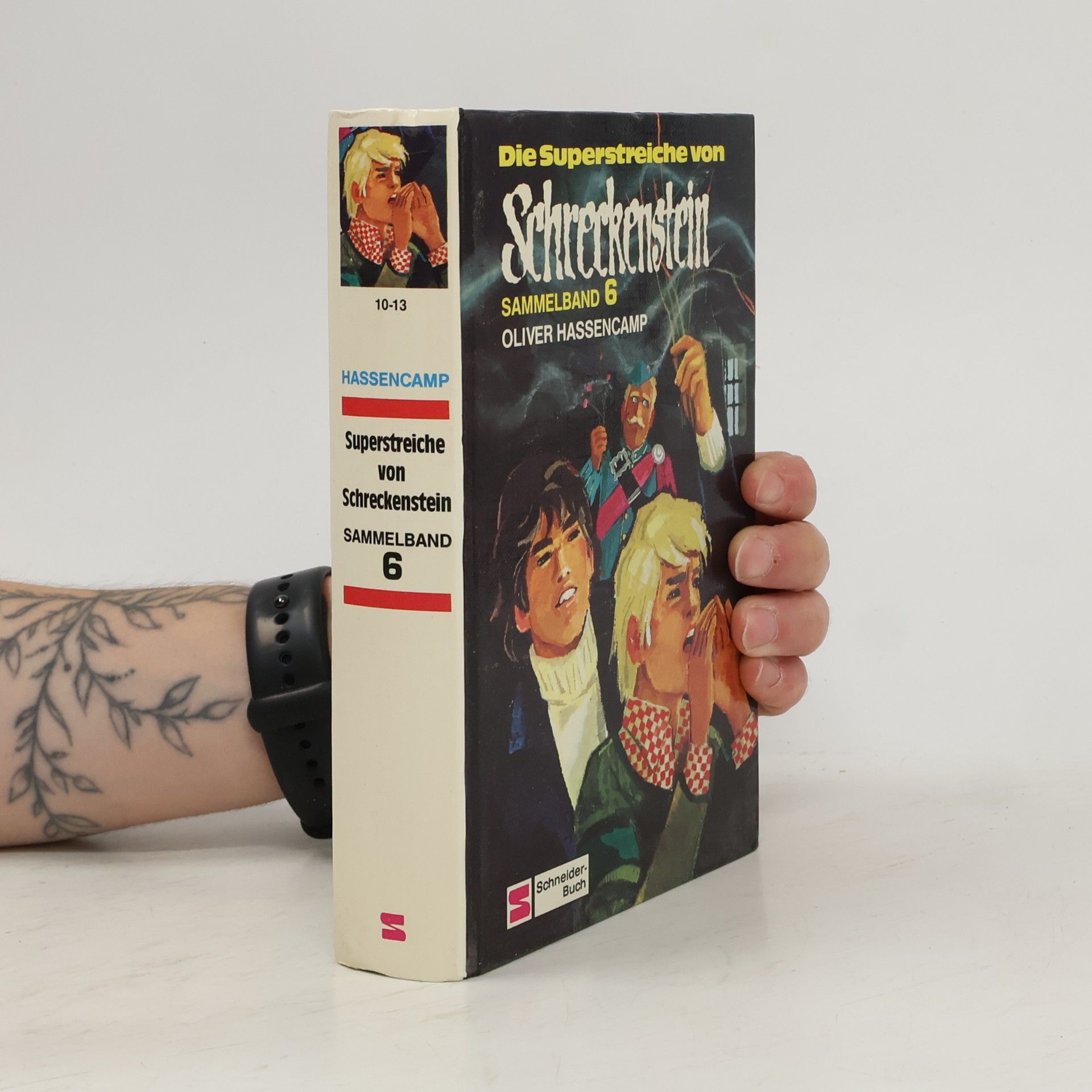 Oliver Hassencamp Die Superstreiche von Schreckenstein