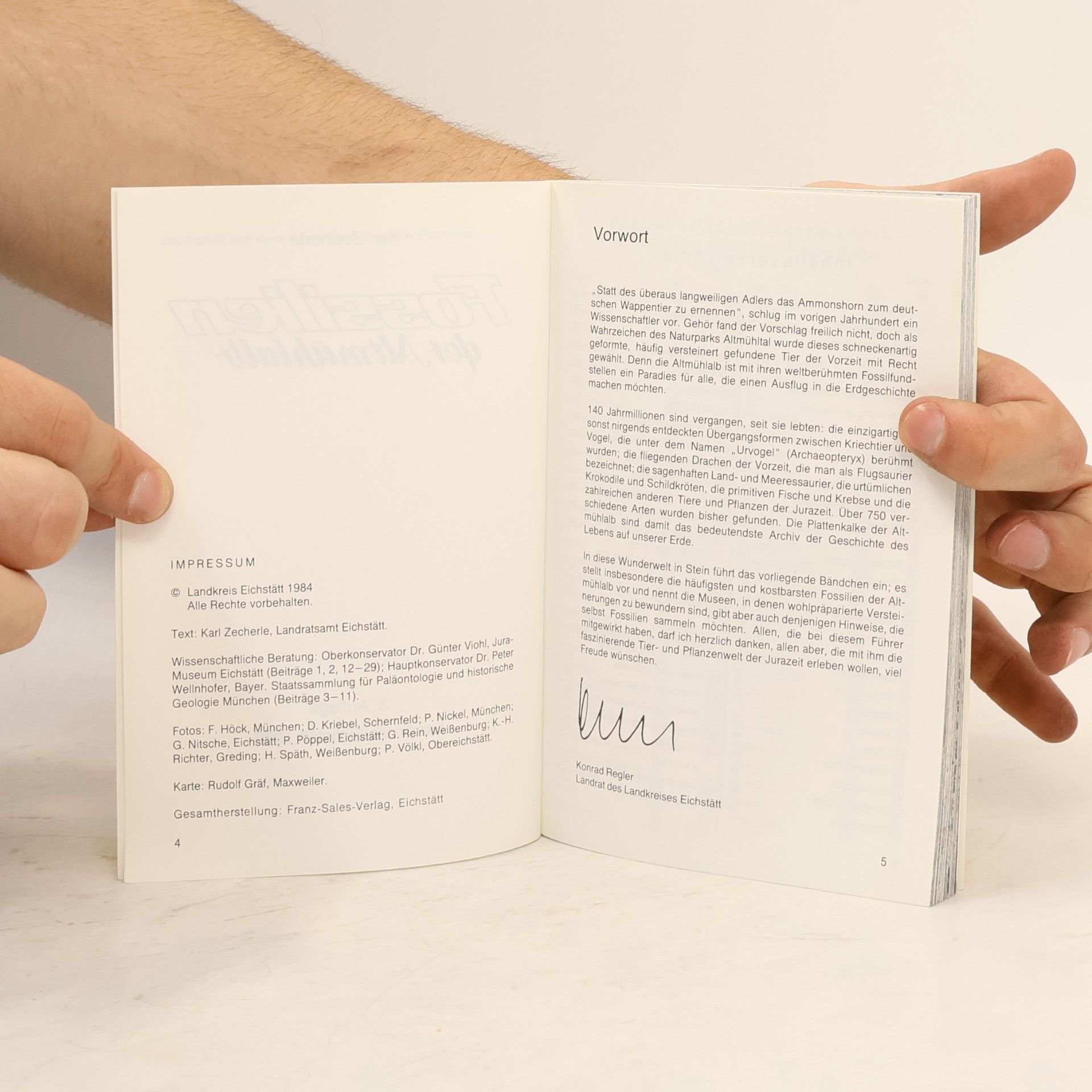 Autorenkollektiv Fossilien der Altmühlalb