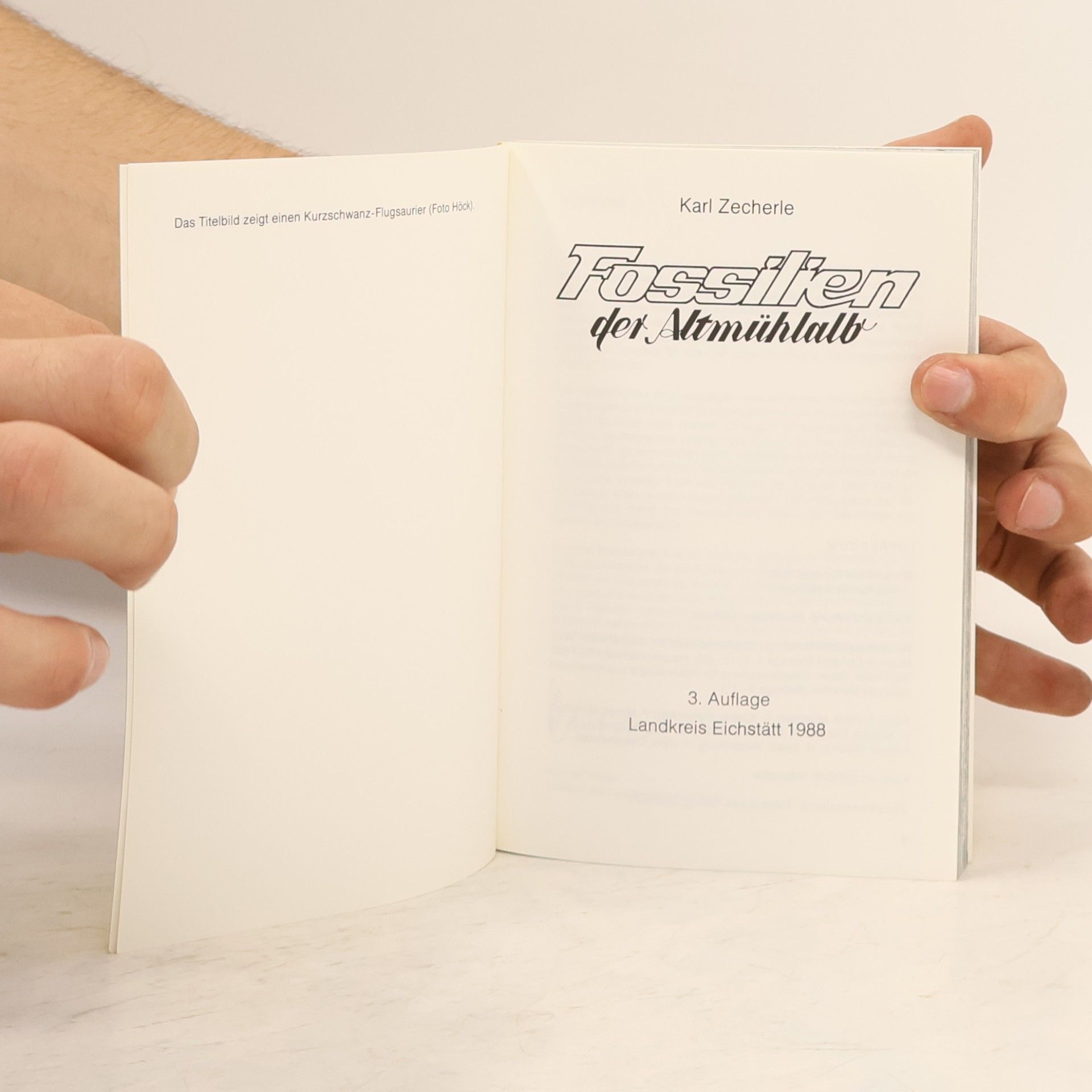 Autorenkollektiv Fossilien der Altmühlalb