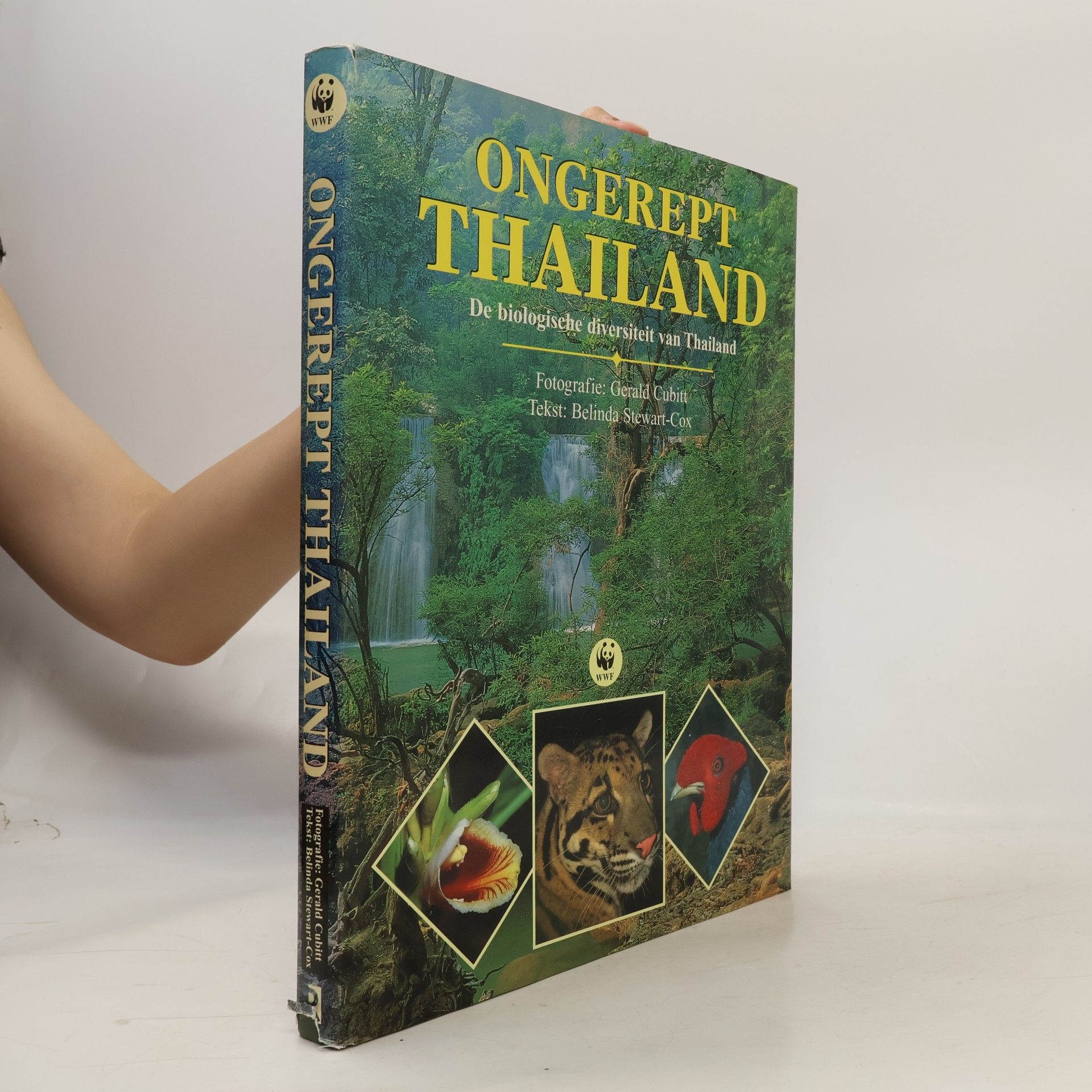 Ongerept Thailand