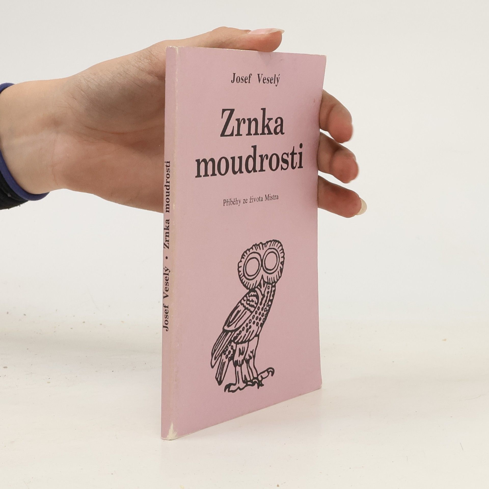 Josef Veselý Zrnka moudrosti: příběhy ze života Mistra