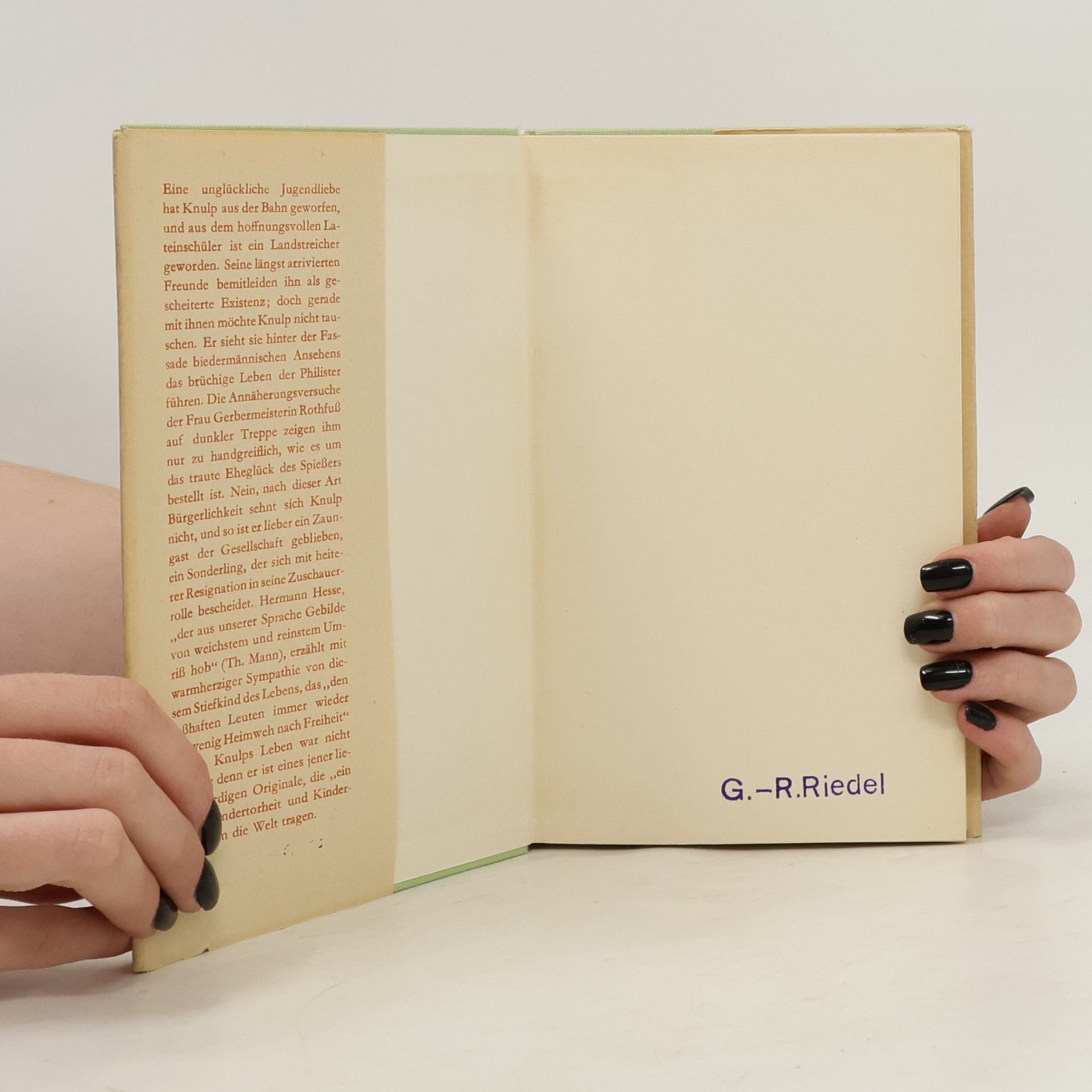 Hermann Hesse Knulp
