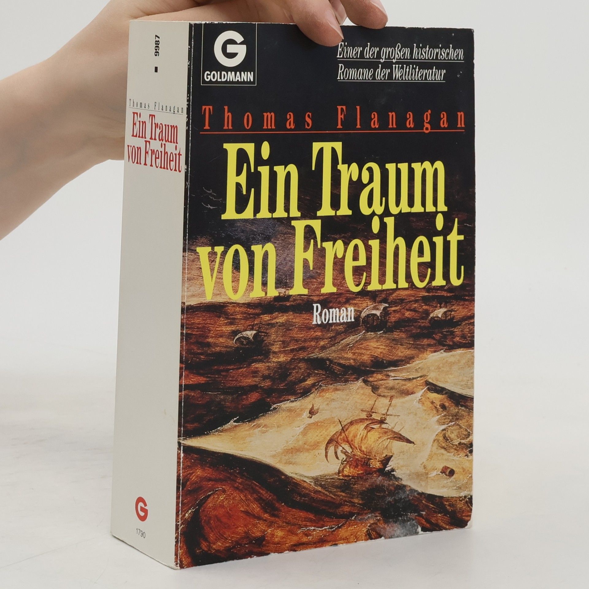 Thomas Flanagan Ein Traum von Freiheit