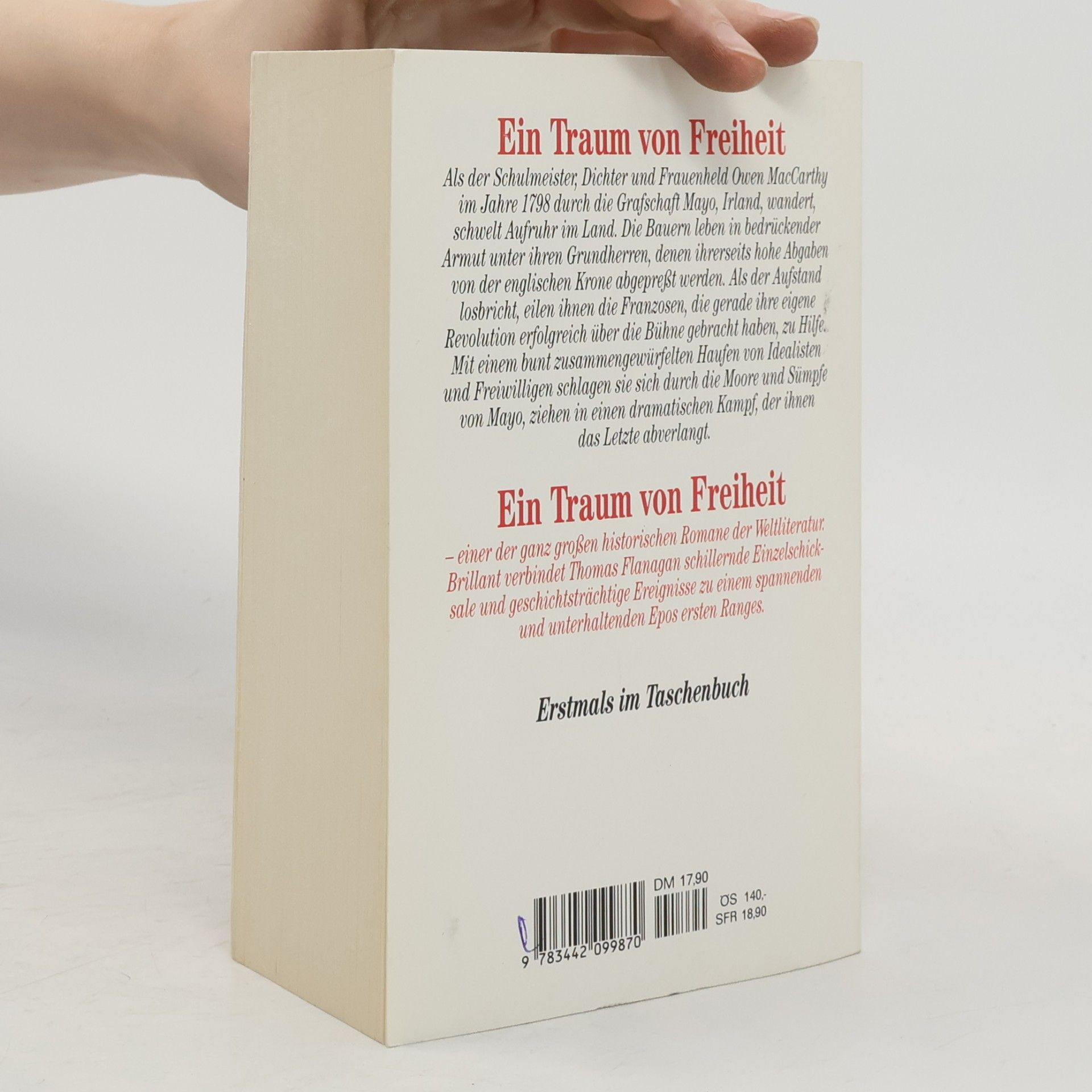 Thomas Flanagan Ein Traum von Freiheit