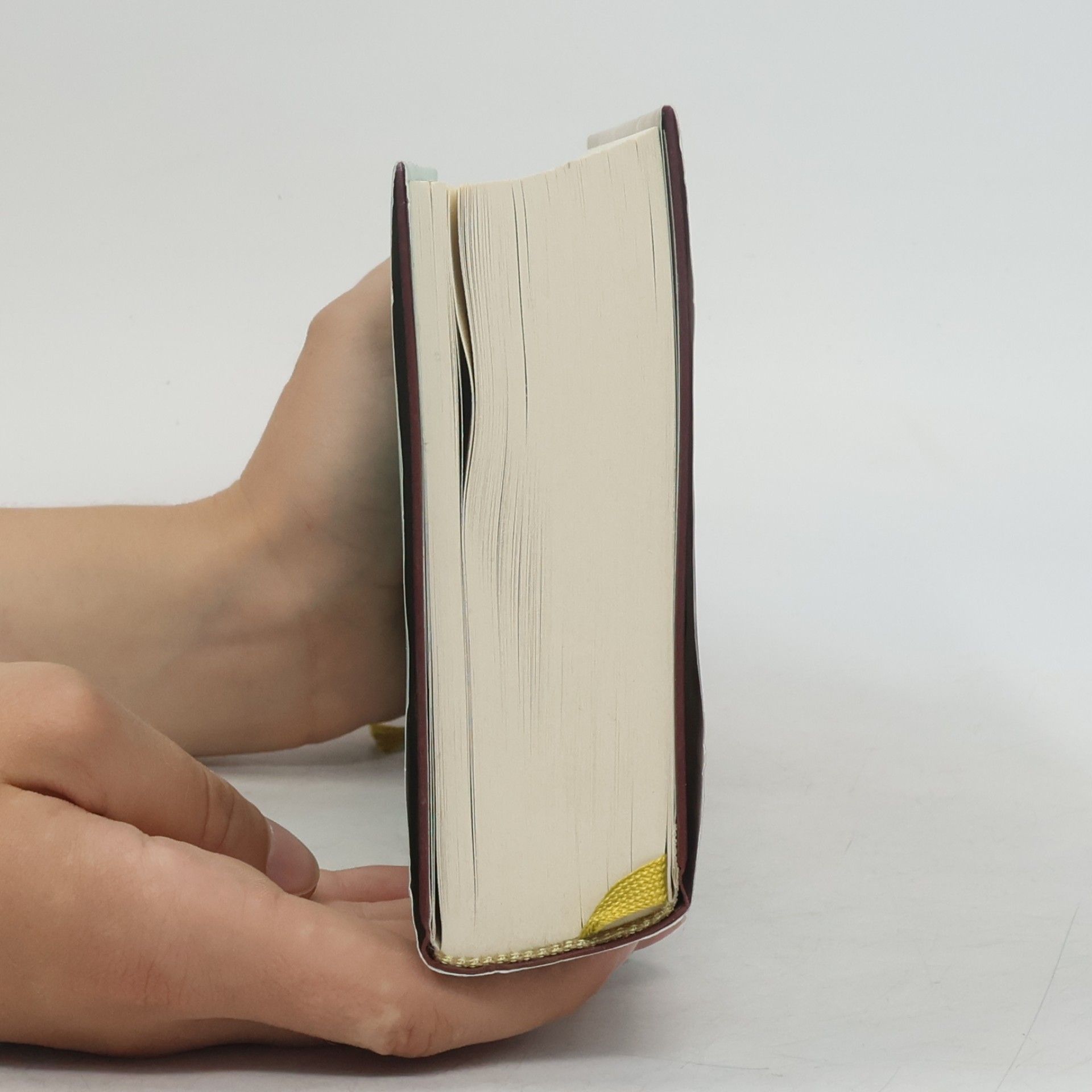 Jordi Punti Die irren Fahrten des Gabriel Delacruz