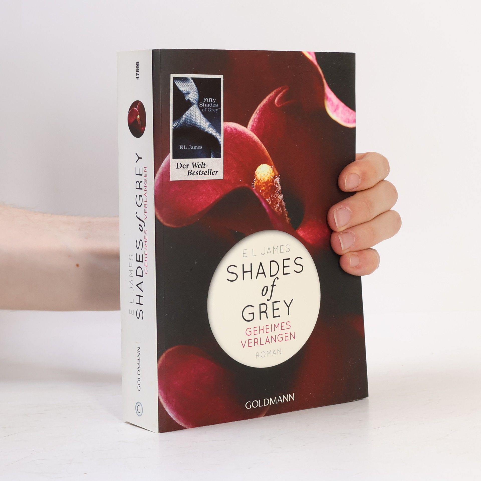 Shades of Grey. Geheimes Verlangen