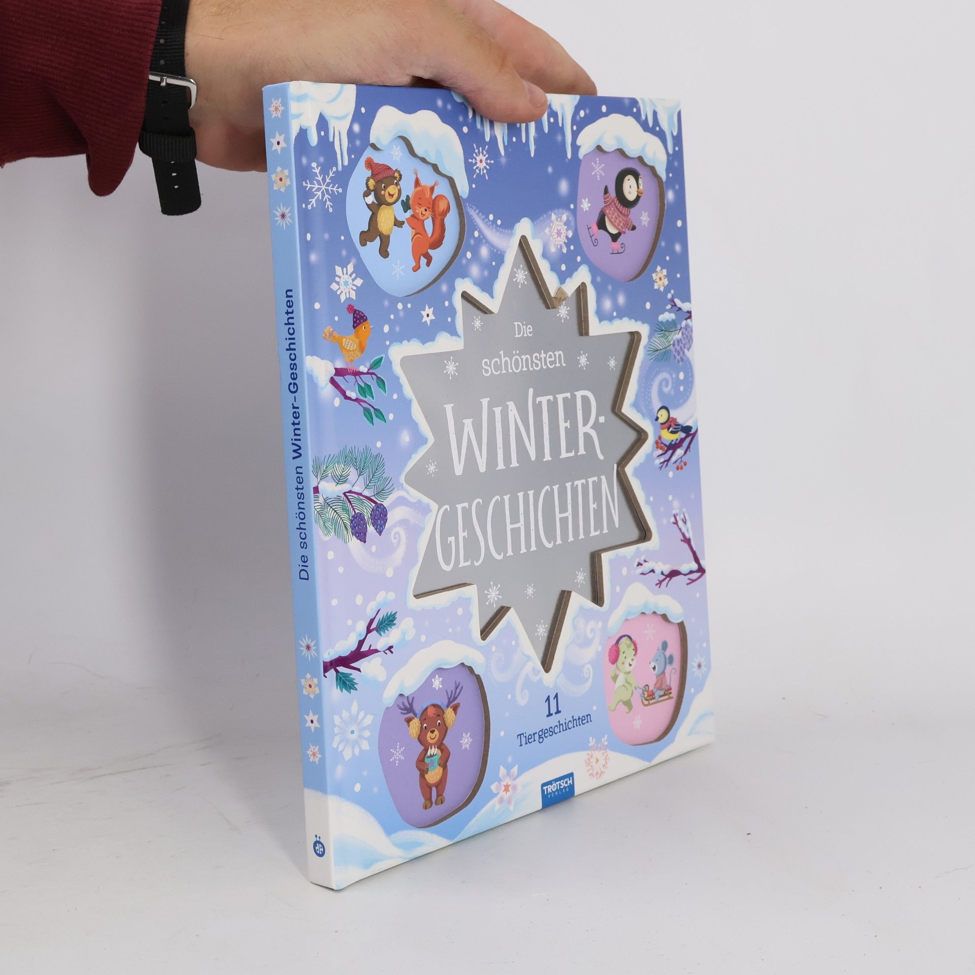 Autorenkollektiv Trötsch Vorlesebuch Die schönsten Wintergeschichten. Märchenbuch Geschichtenbuch Bilderbuch Kinderbuch
