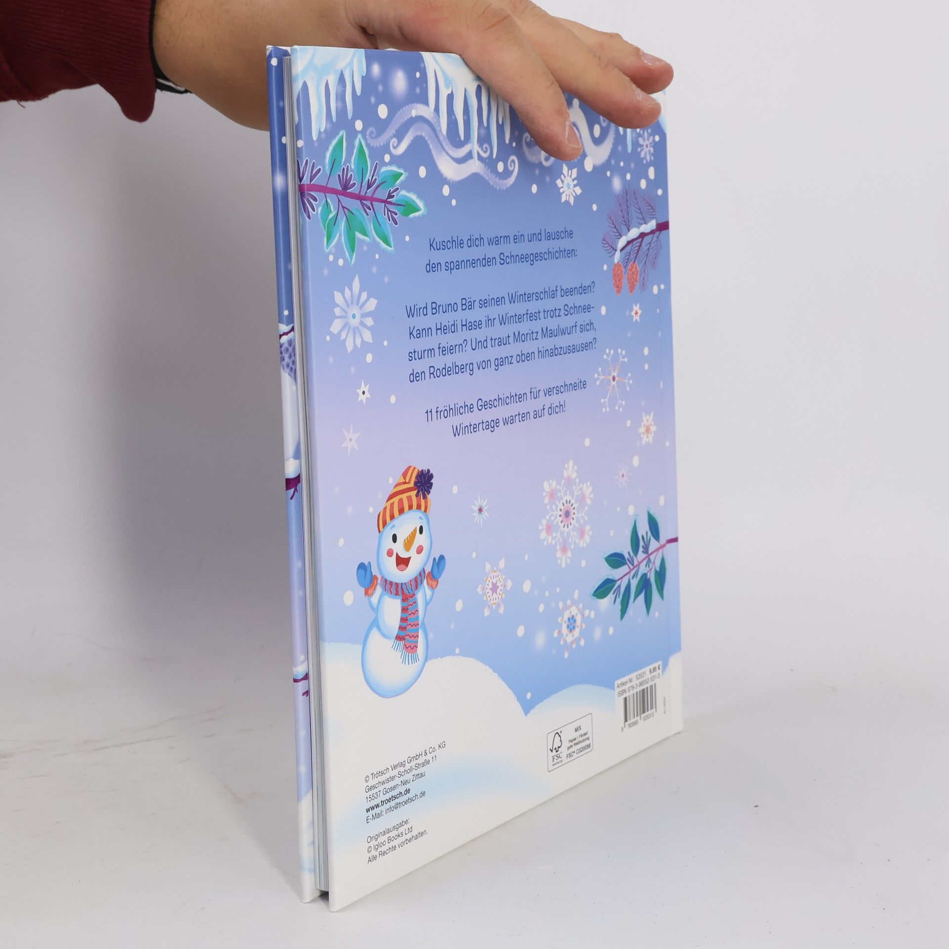 Autorenkollektiv Trötsch Vorlesebuch Die schönsten Wintergeschichten. Märchenbuch Geschichtenbuch Bilderbuch Kinderbuch