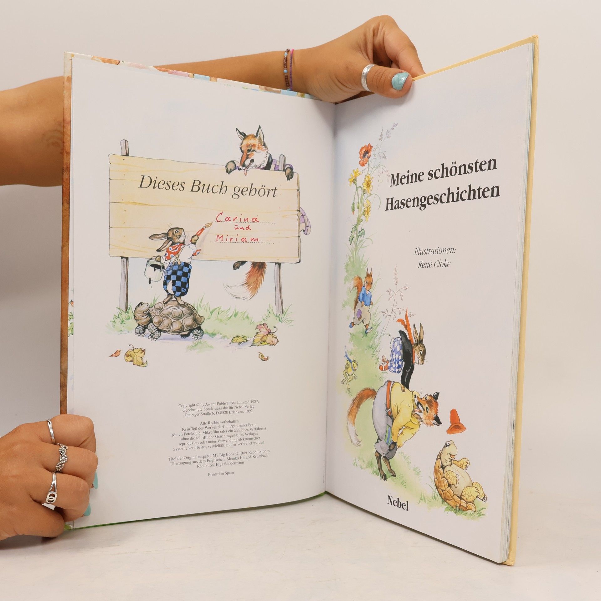 Autorenkollektiv Meine schönsten Hasengeschichten