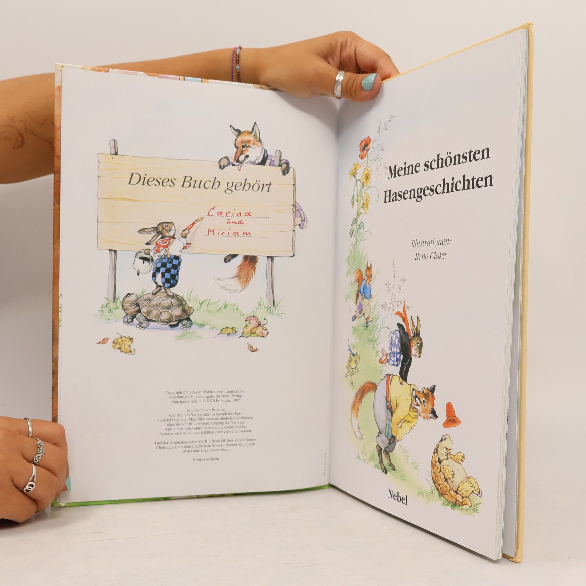 Autorenkollektiv Meine schönsten Hasengeschichten