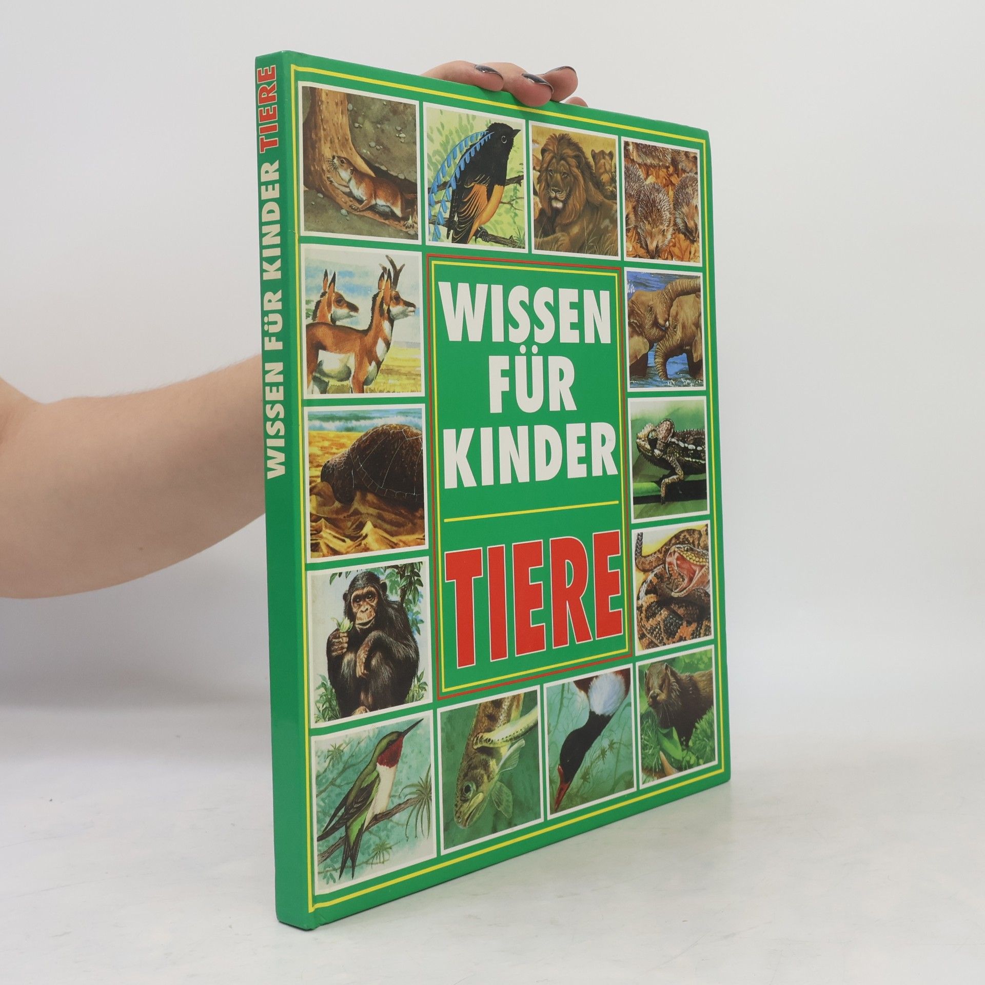 Michele Stable Tiere. Wissen für Kinder