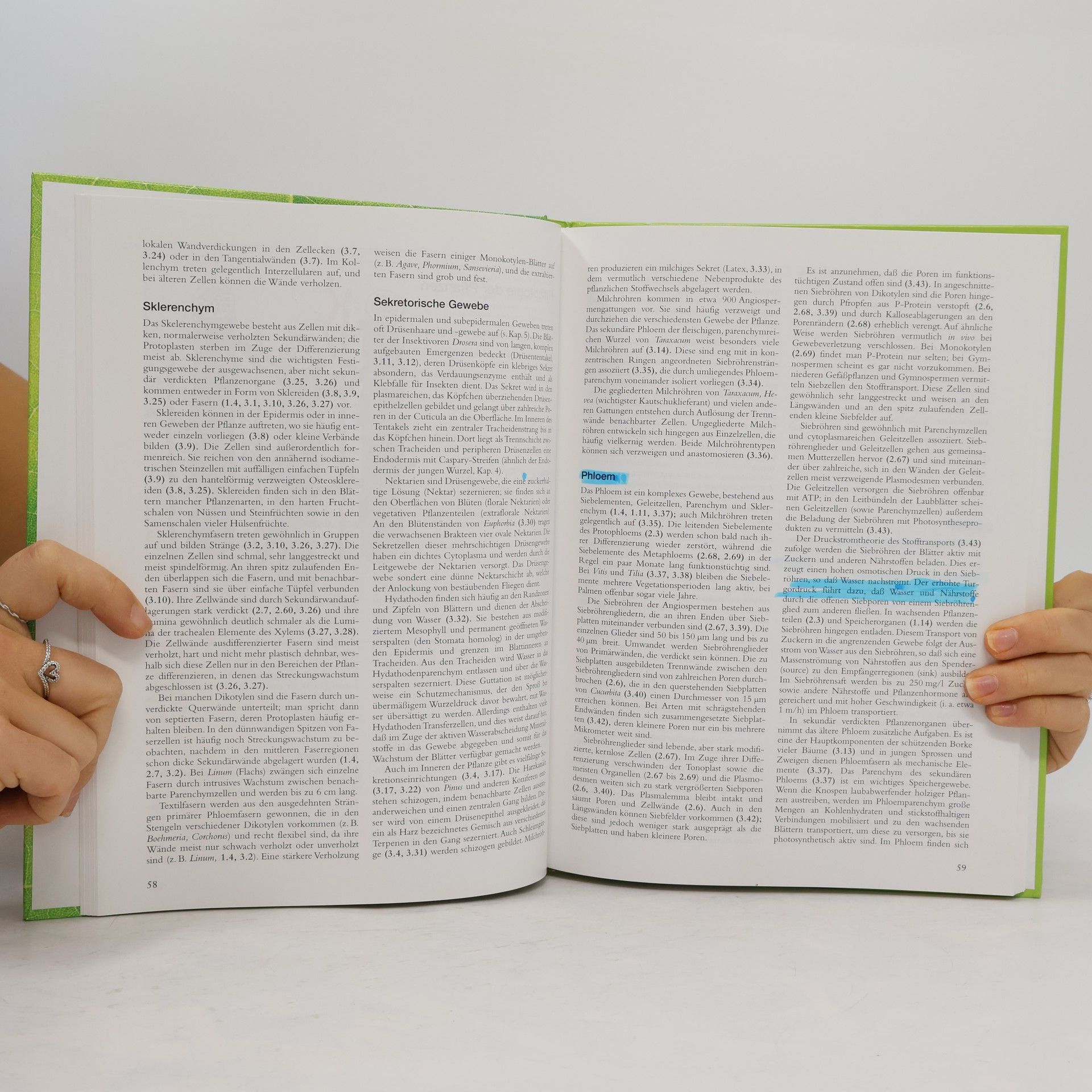 Bryan G. Bowes Farbatlas Pflanzenanatomie