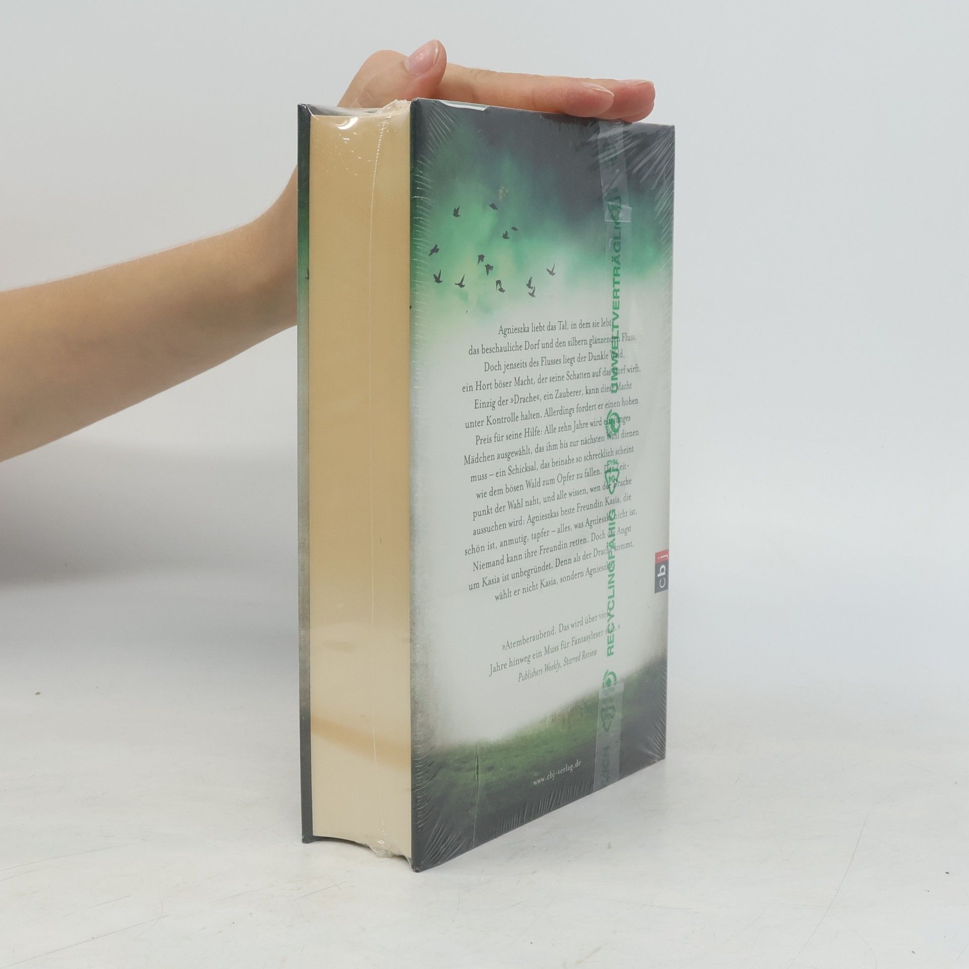Naomi Novik Das dunkle Herz des Waldes