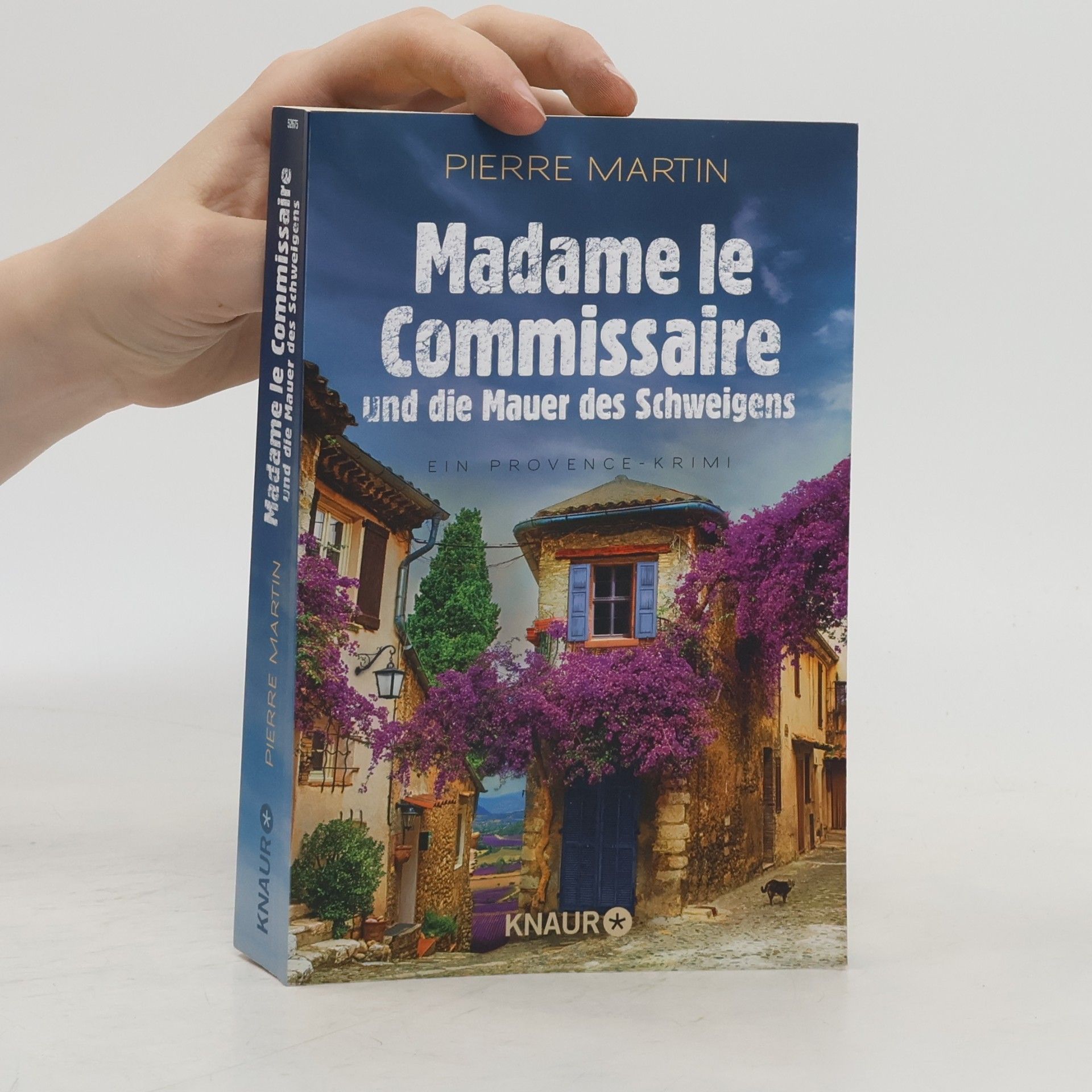 Pierre Martin Madame le Commissaire und die Mauer des Schweigens
