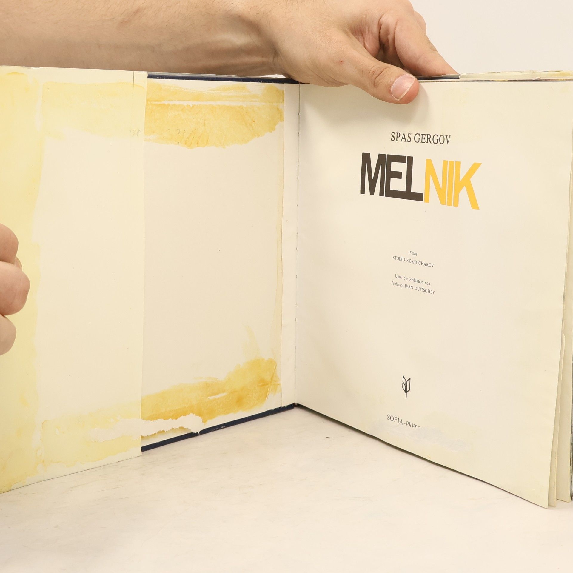 Autorenkollektiv Melnik