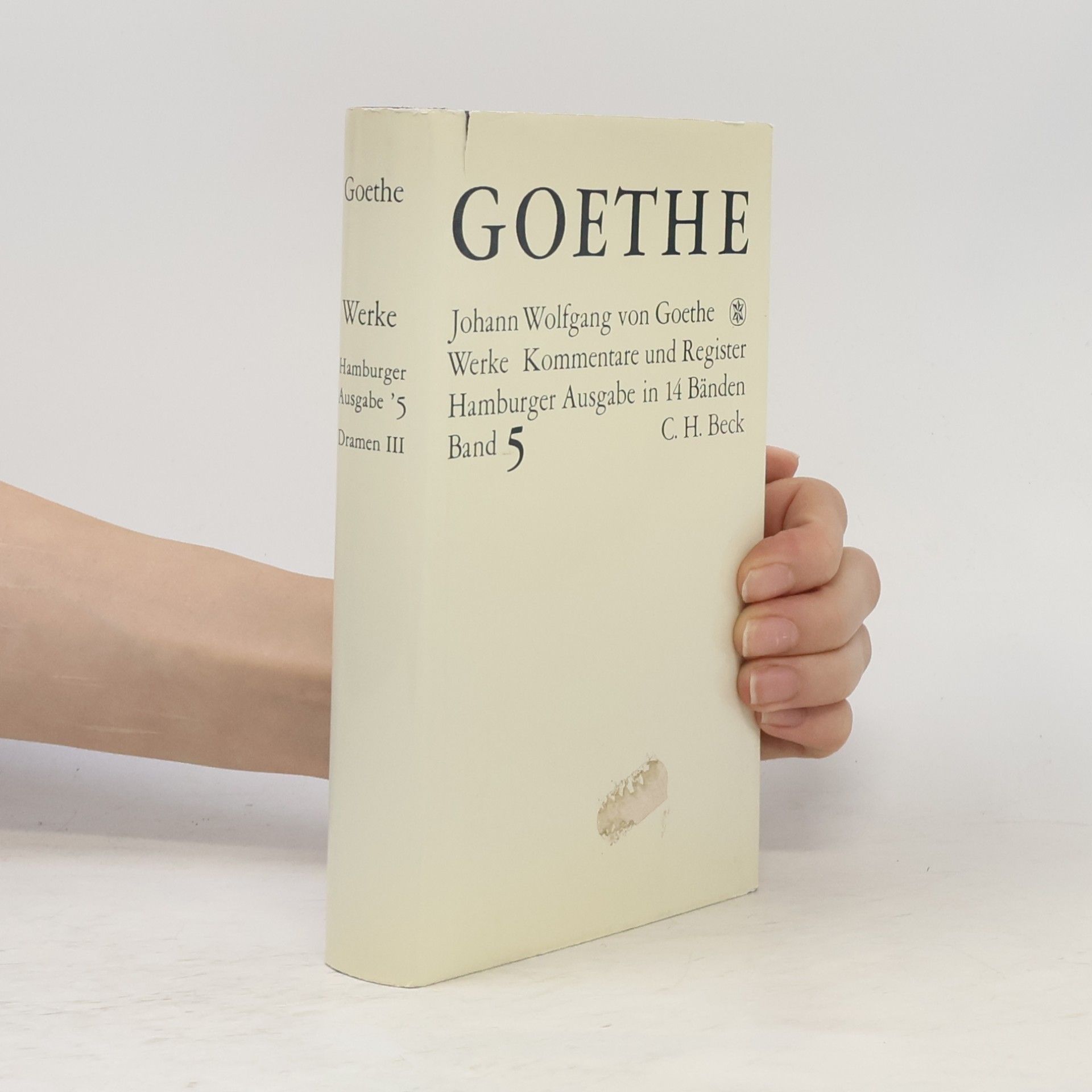 Johann Wolfgang von Goethe Goethe 5