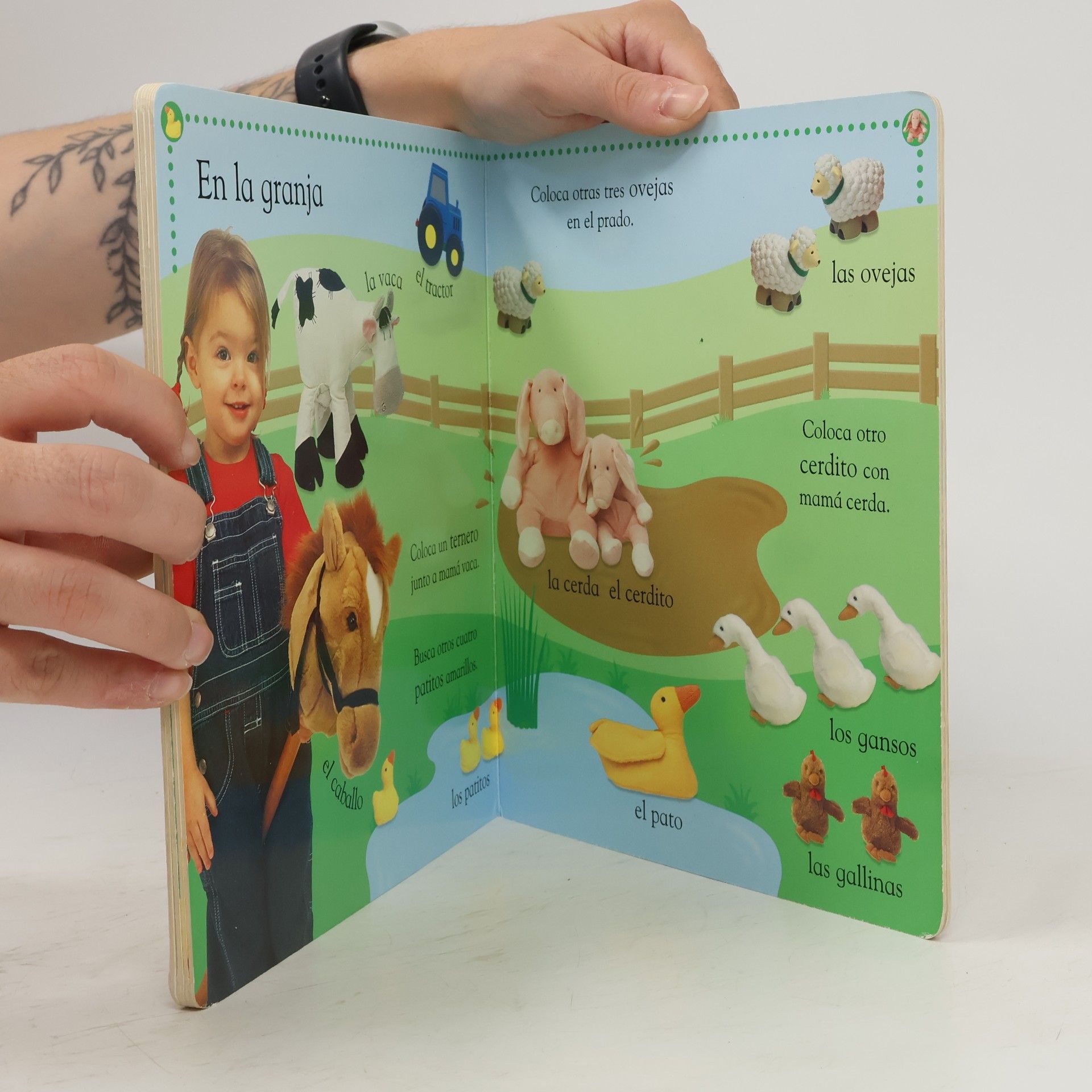 Daniel Green No ficción infantil - 0: Descubre los animales con pegatinas