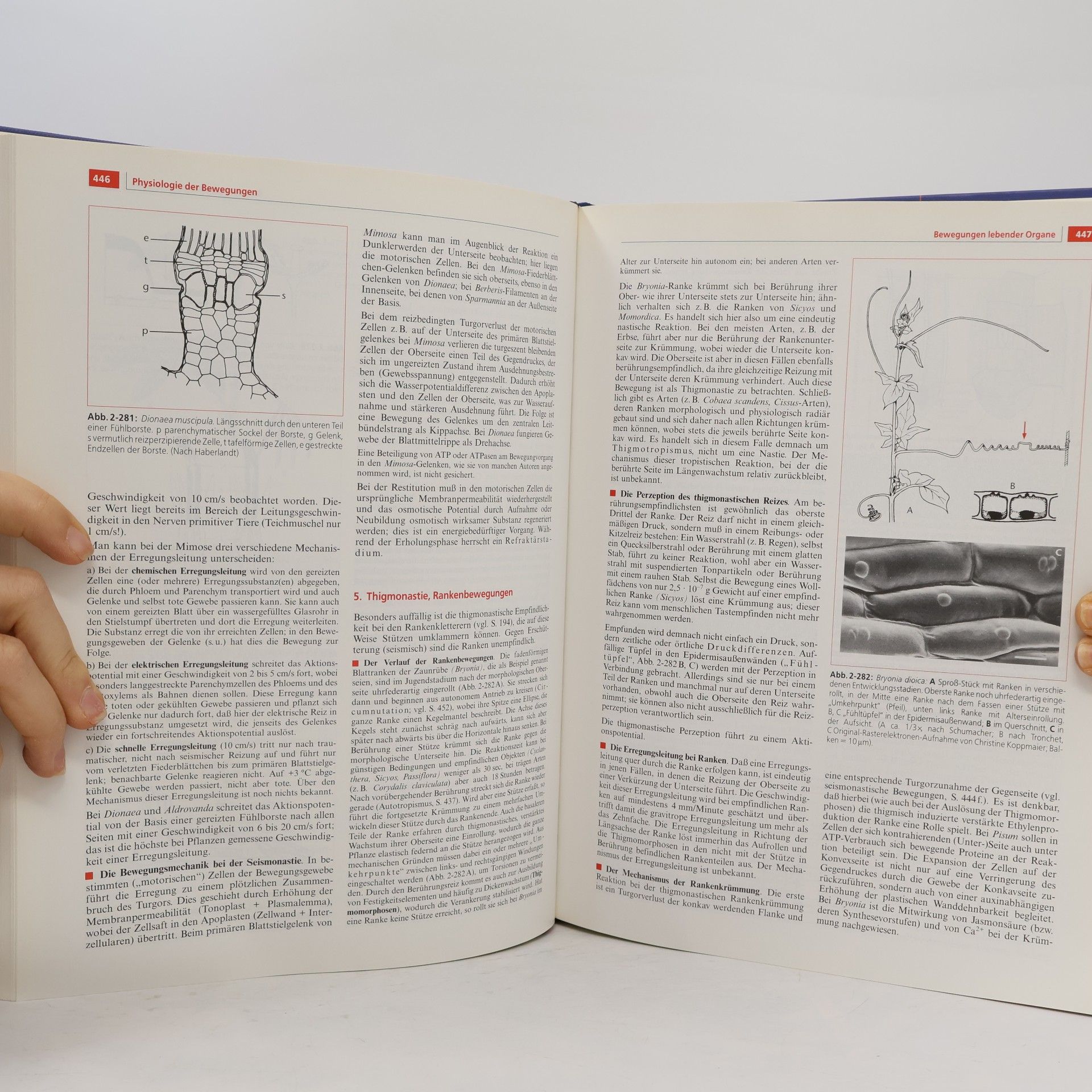 Eduard Strasburger Lehrbuch der Botanik für Hochschulen