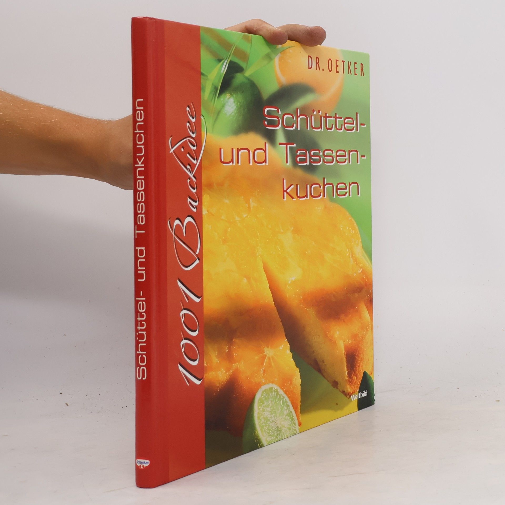 Autorenkollektiv Schüttel und Tassenkuchen