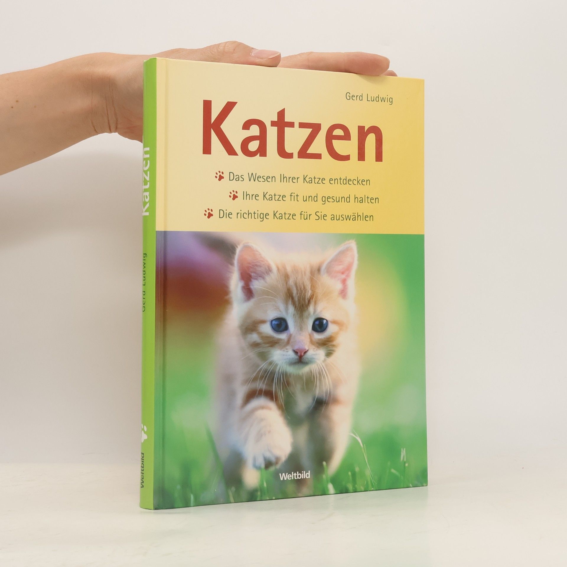 Gerd Ludwig Katzen