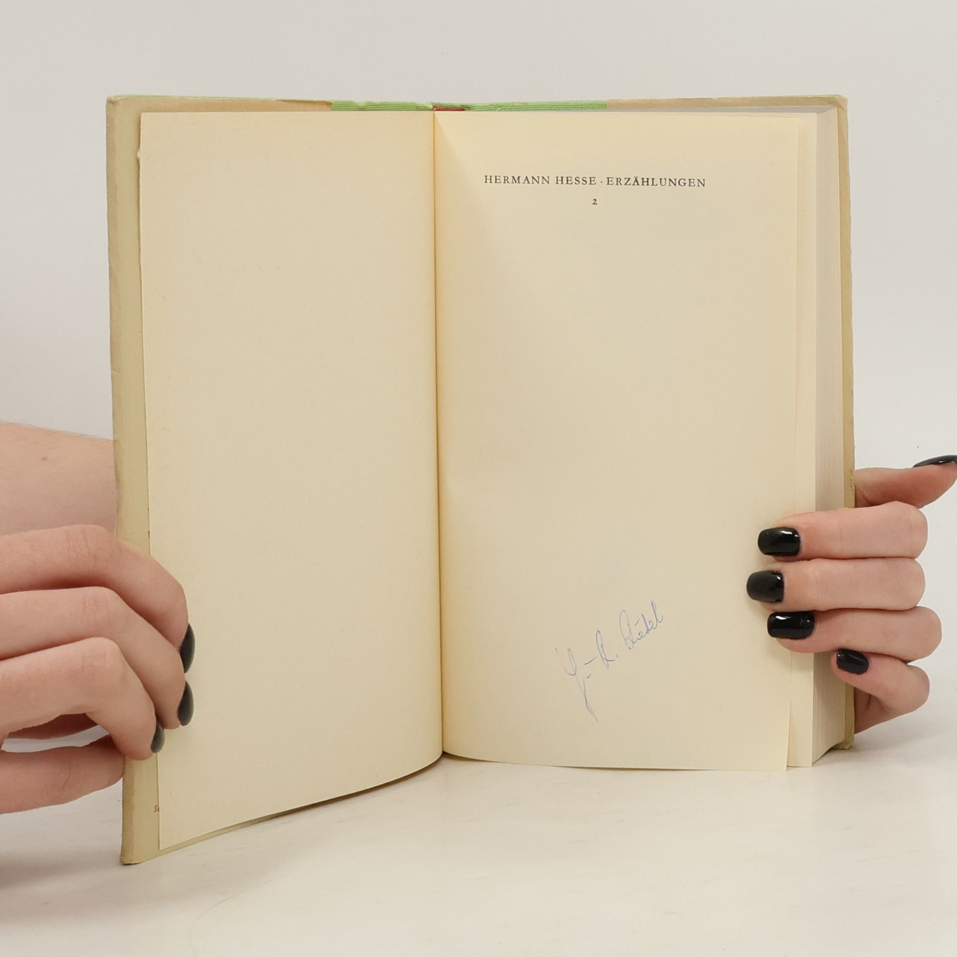 Hermann Hesse Erzählungen 2