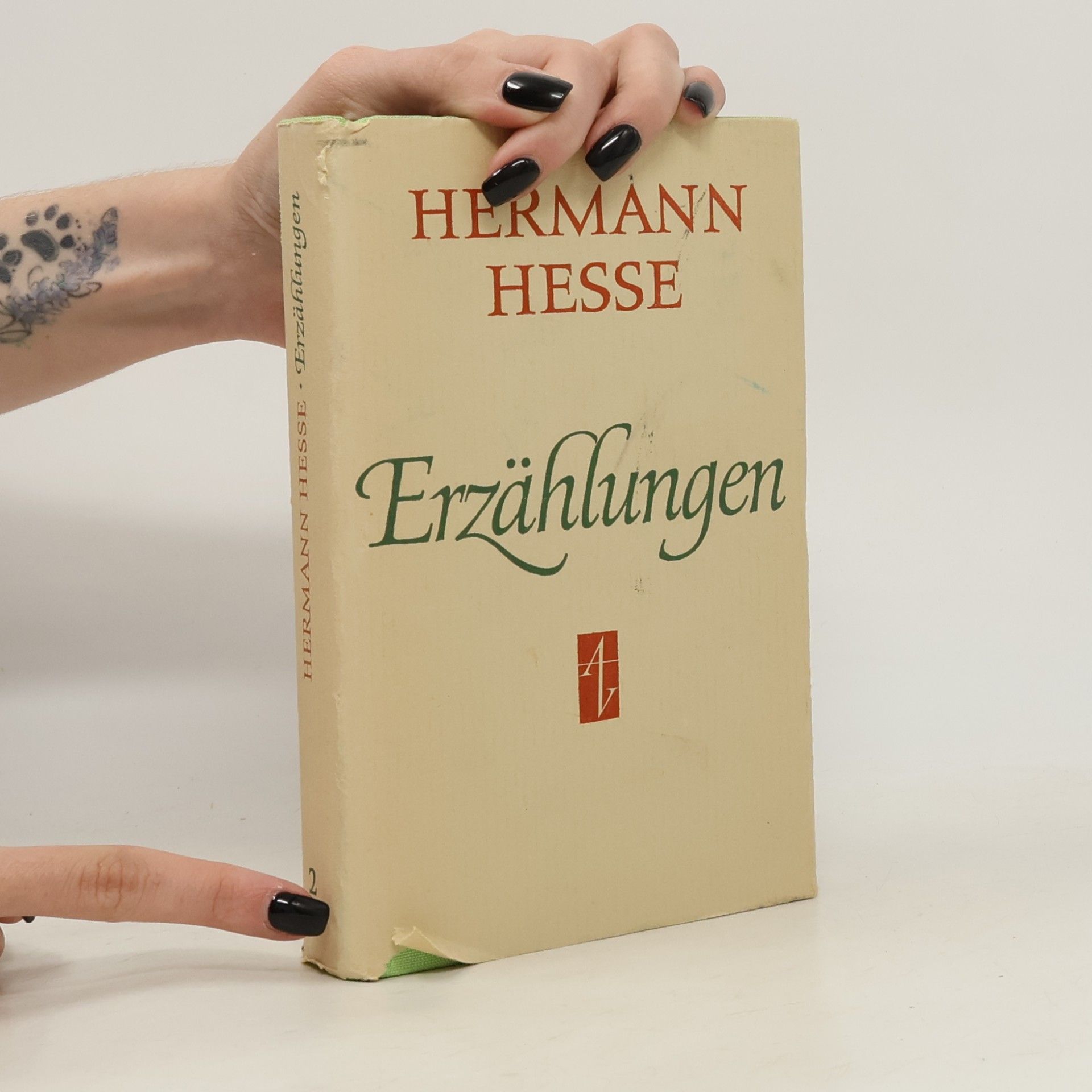 Hermann Hesse Erzählungen 2