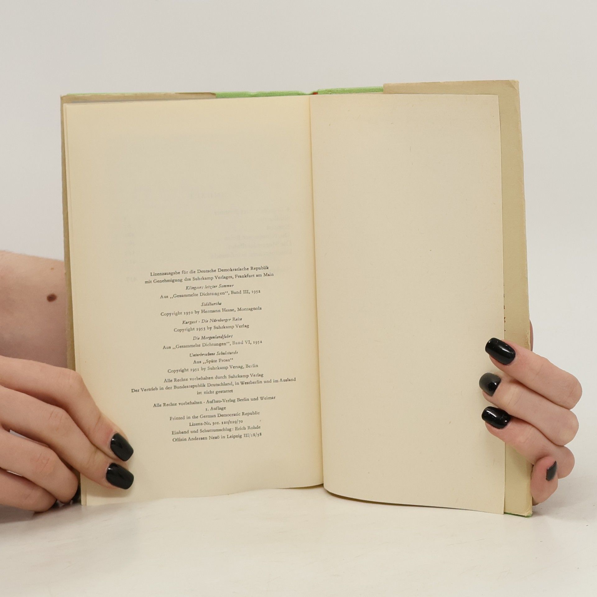Hermann Hesse Erzählungen 2