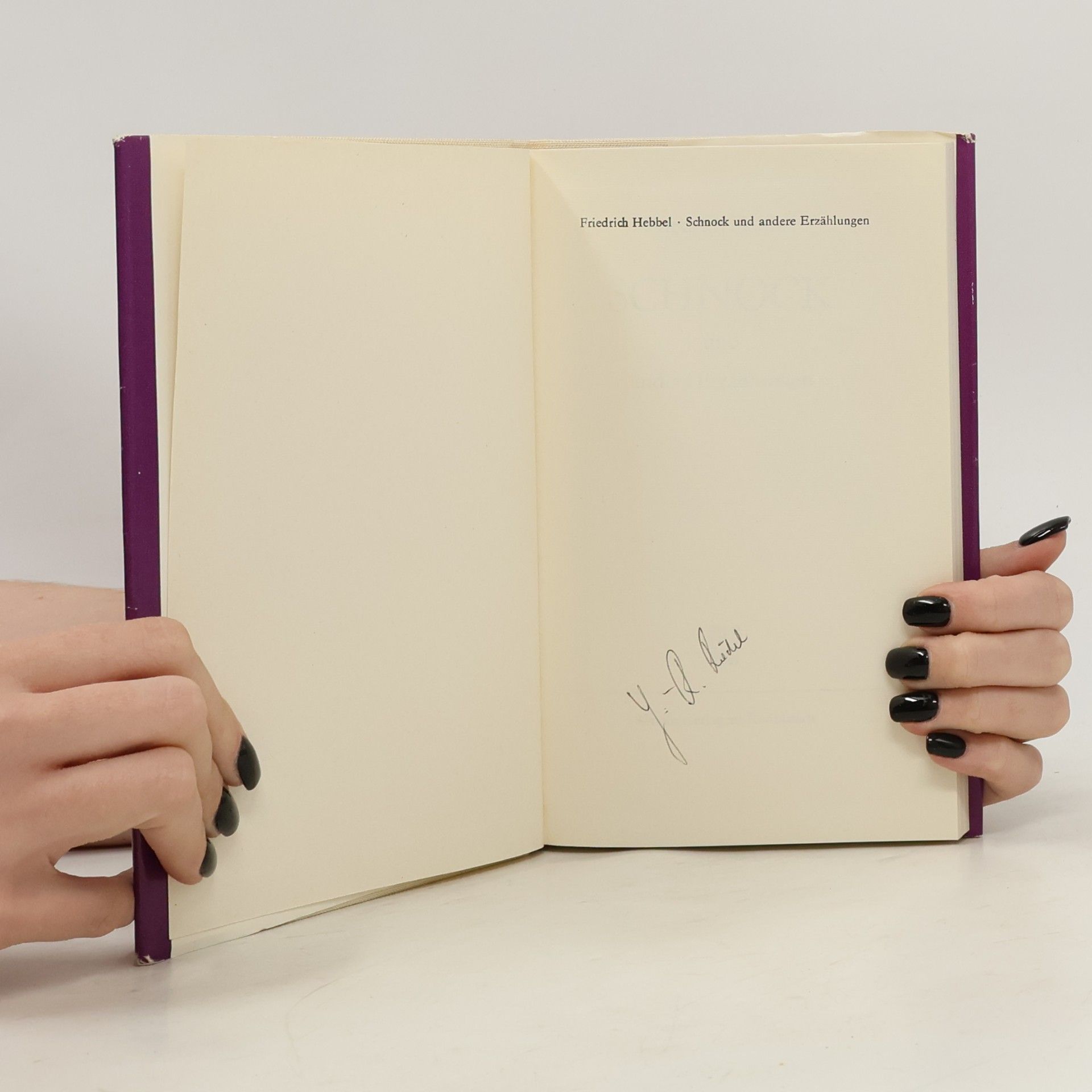 Christian Friedrich Hebbel Schnock und andere Erzählungen