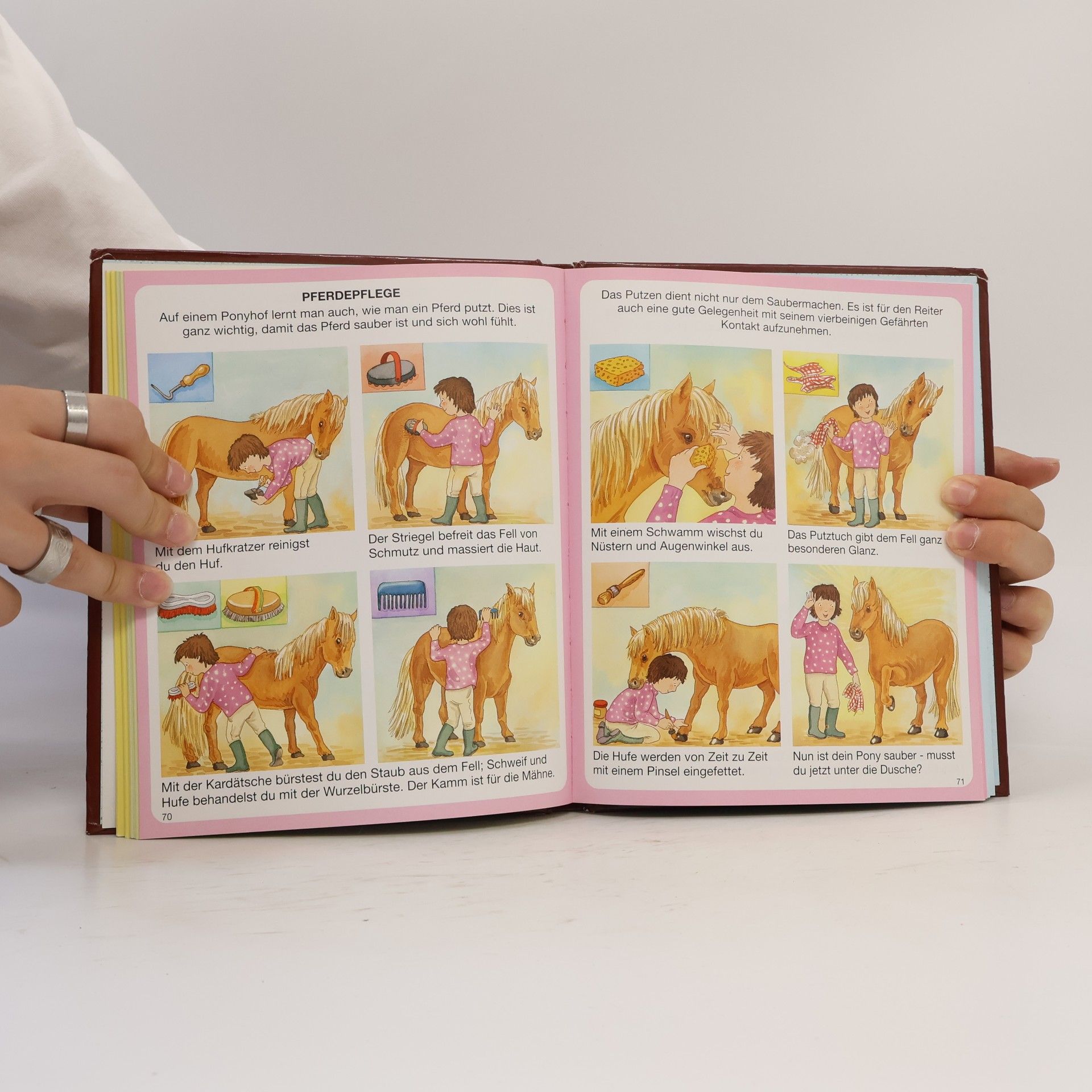 Autorenkollektiv Dein buntes Wörterbuch der Pferde und Ponys