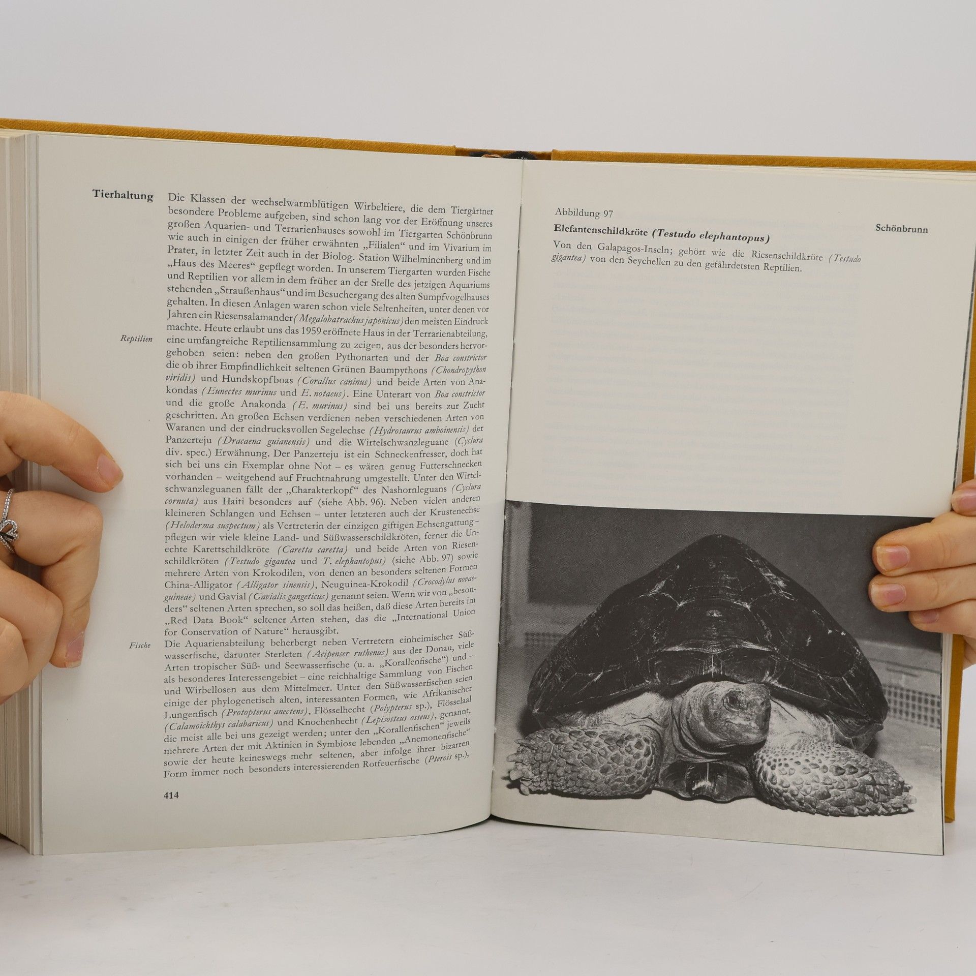 Ferdinand Starmühlner Naturgeschichte Wiens