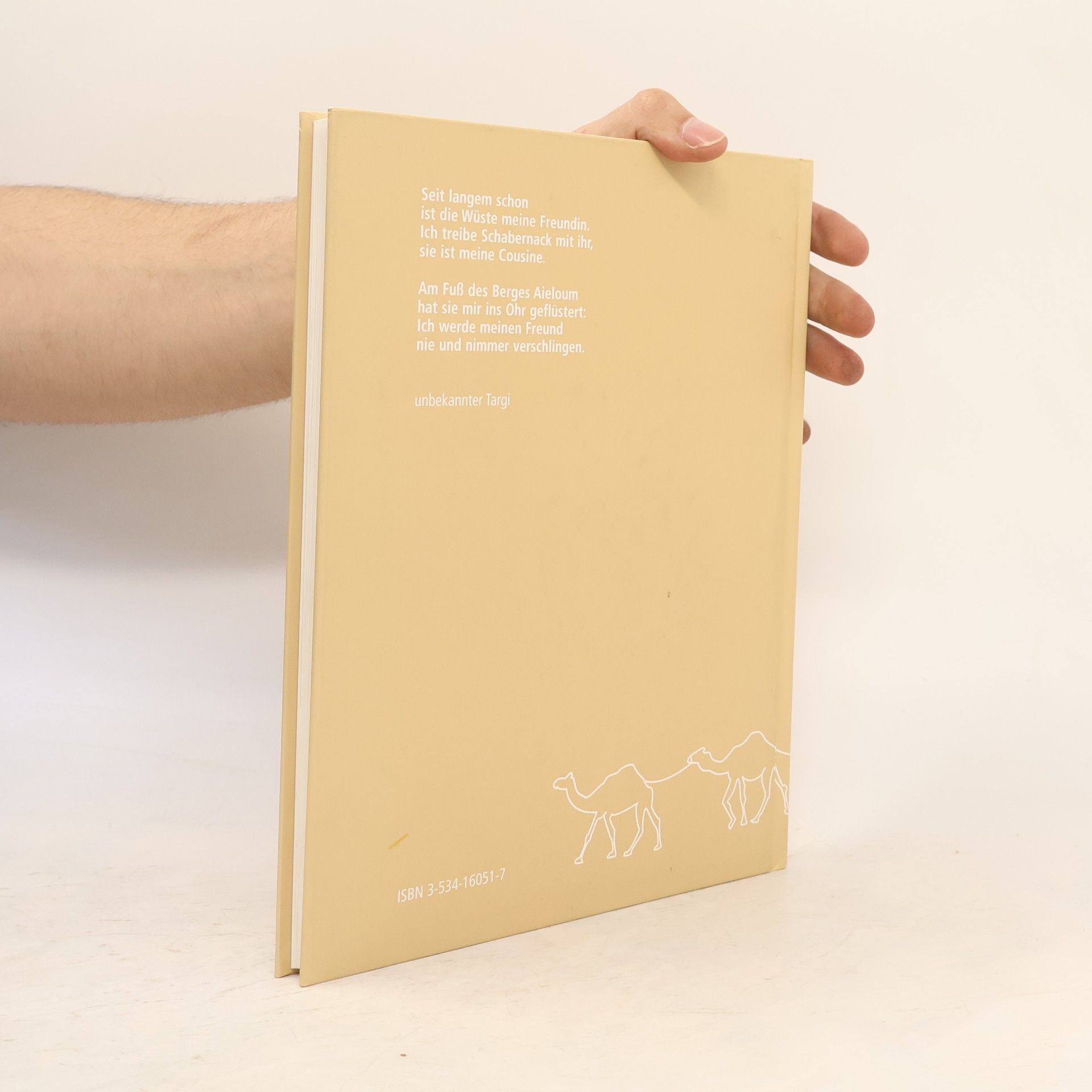 Autores varios Wüste Hessisches Landesmuseum Darmstadt