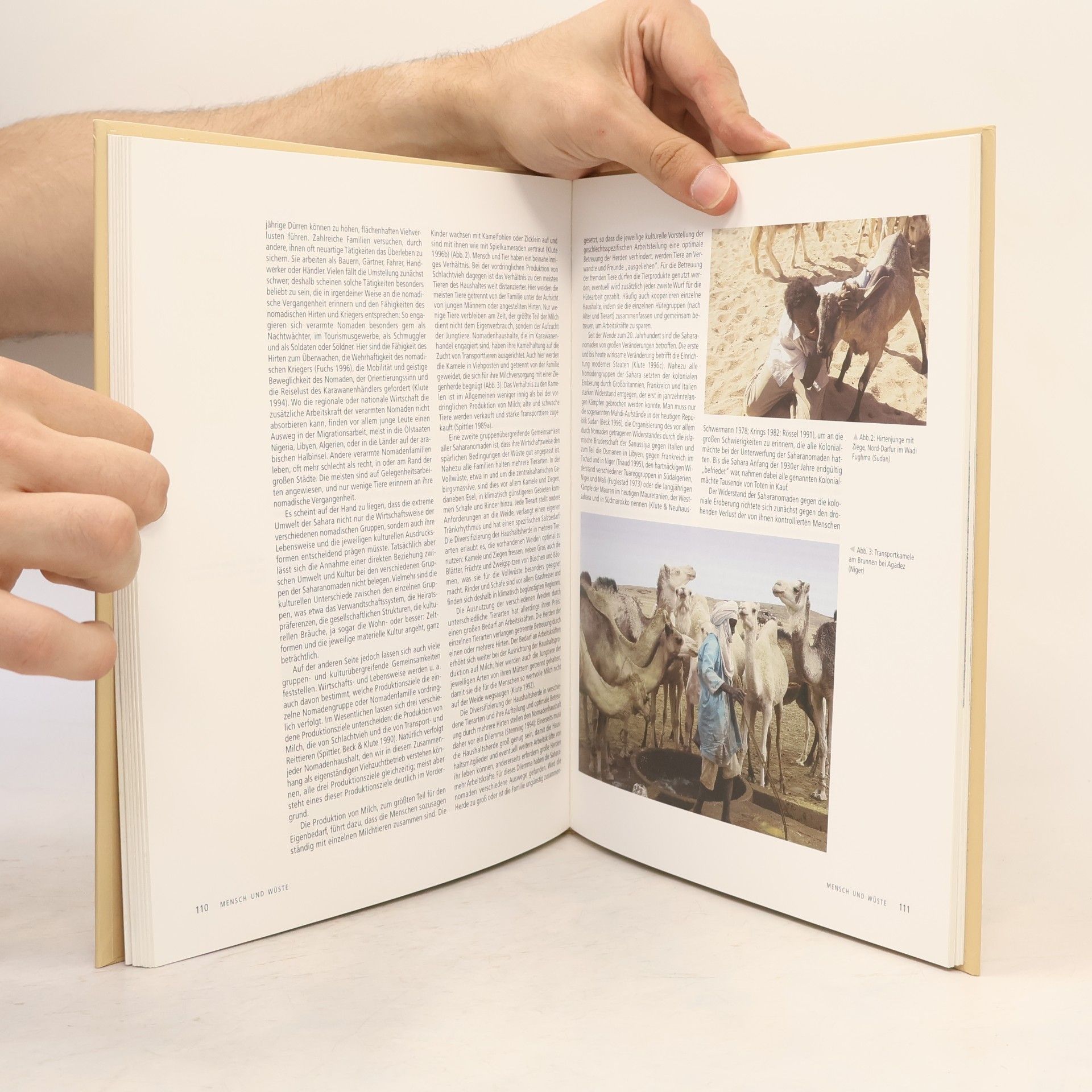 Autores varios Wüste Hessisches Landesmuseum Darmstadt